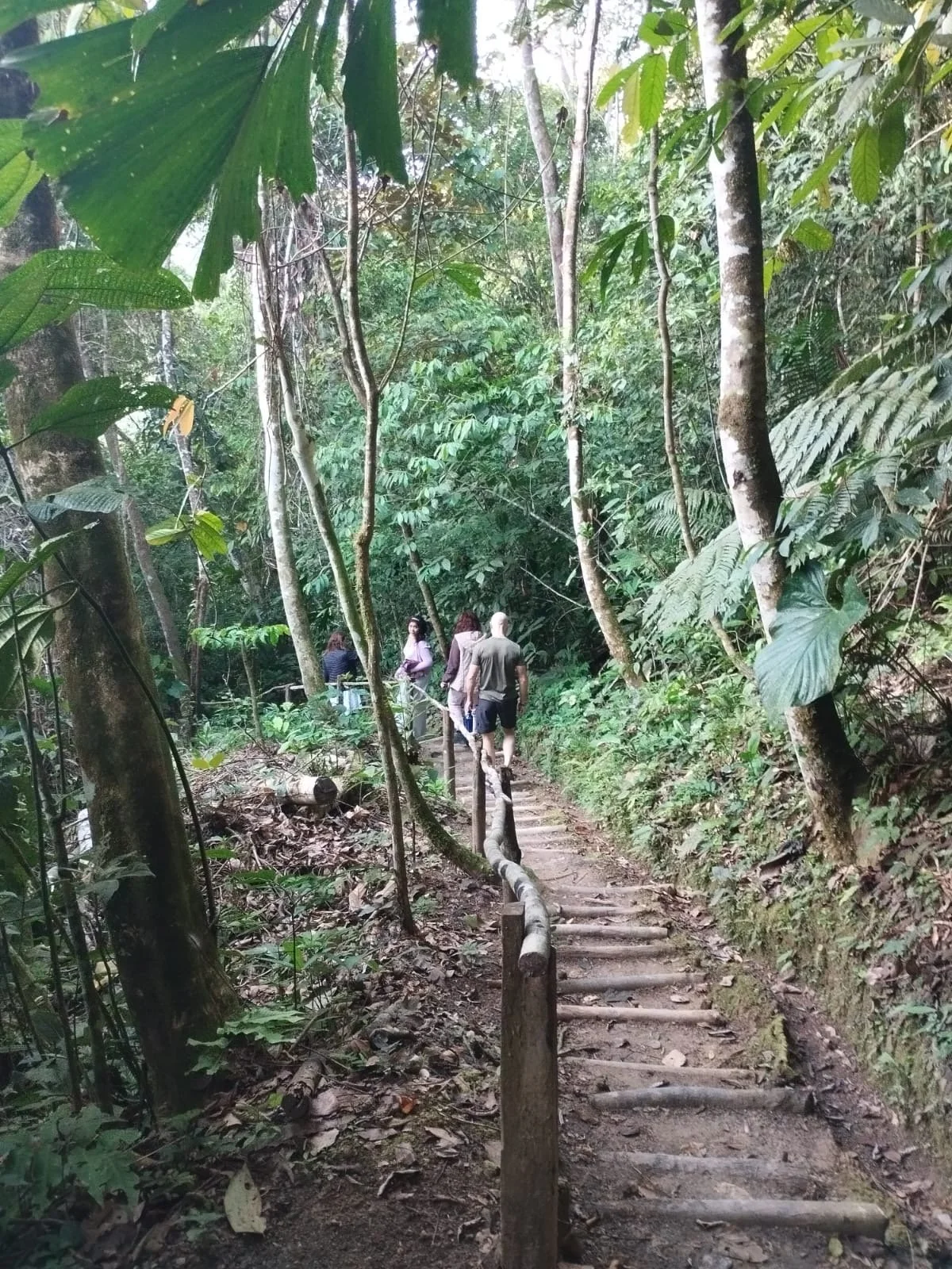 Sendero en la selva con varias personas caminando entre árboles y plantas verdes, con un pasamano de madera a un lado del camino.