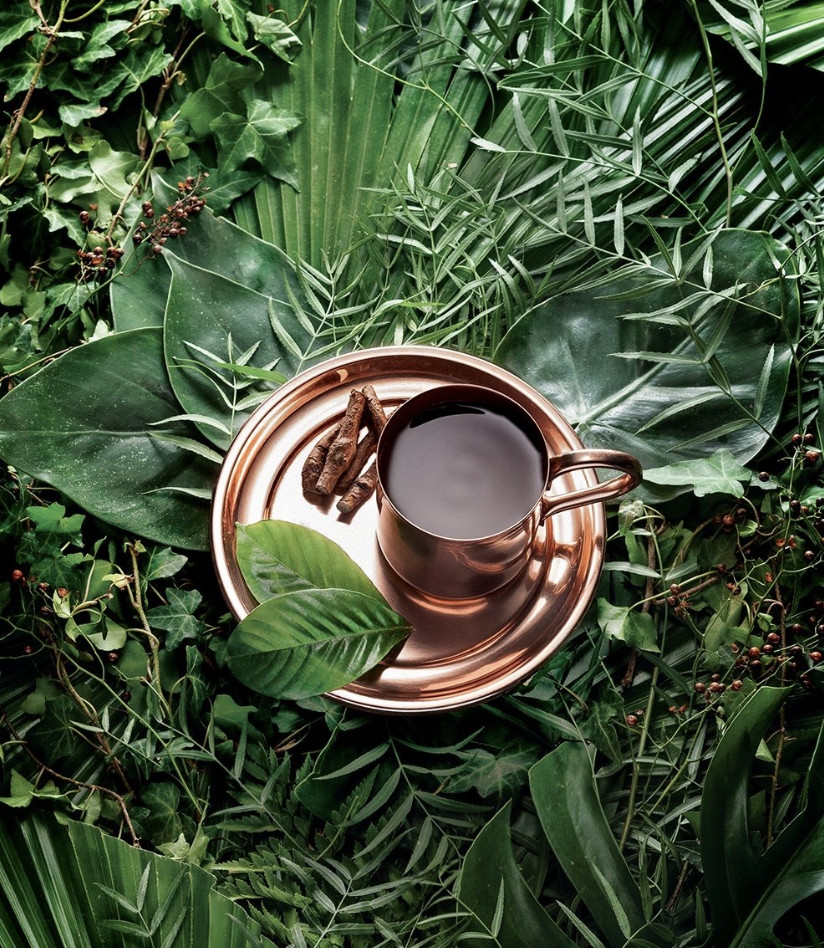 Ayahuasca: qué dice la ciencia sobre su farmacología, neurociencia y potencial terapéutico