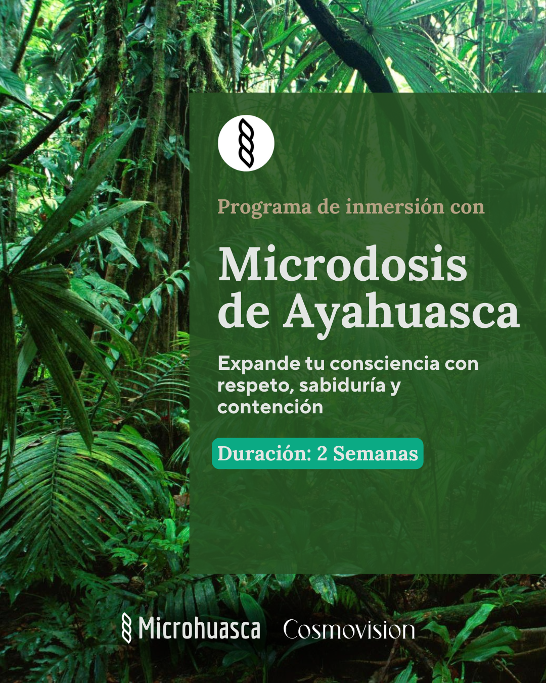 Correcciones Programa 2 semanas microdosis de Ayahuasca.png