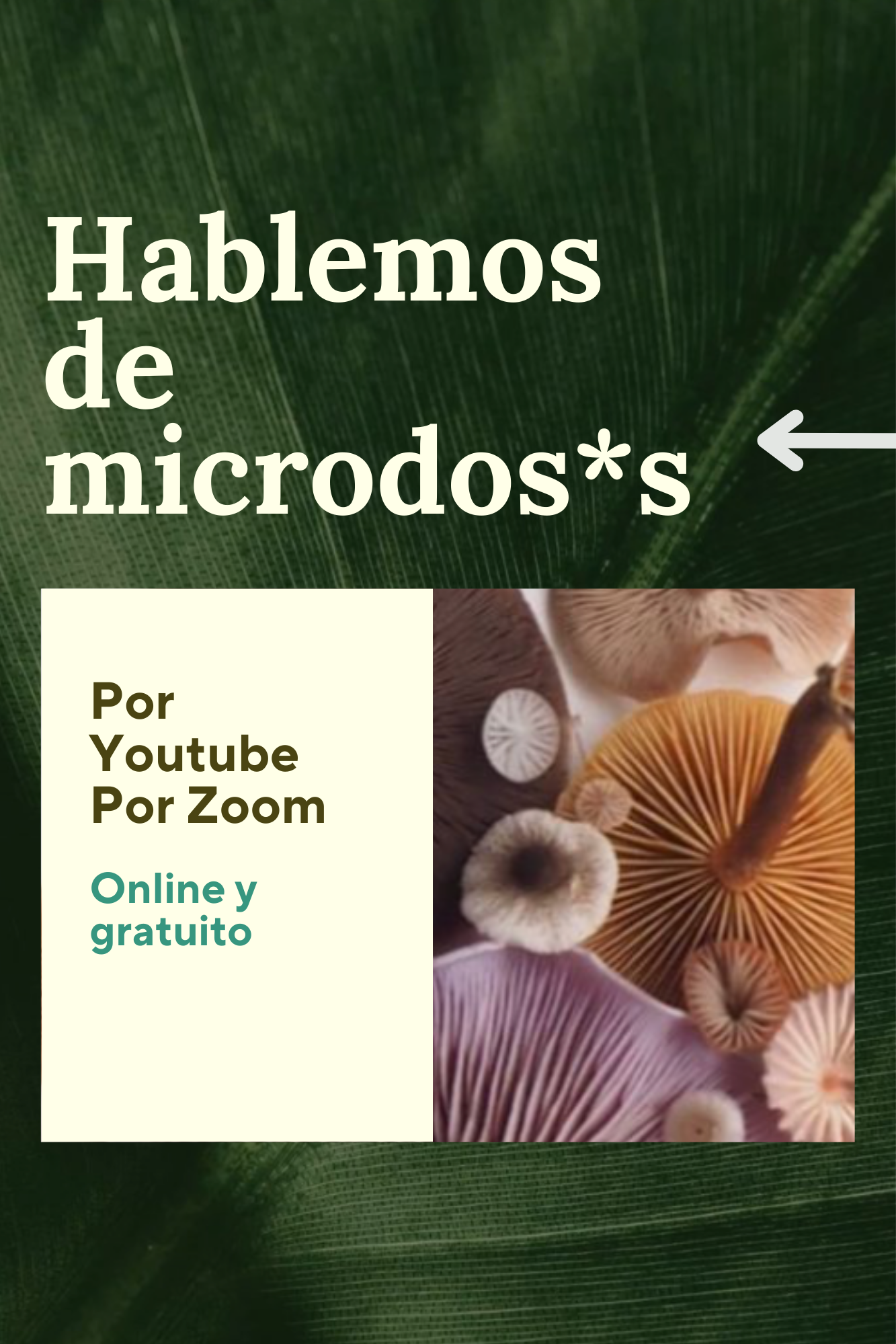 HABLEMOS DE MICRODOSIS