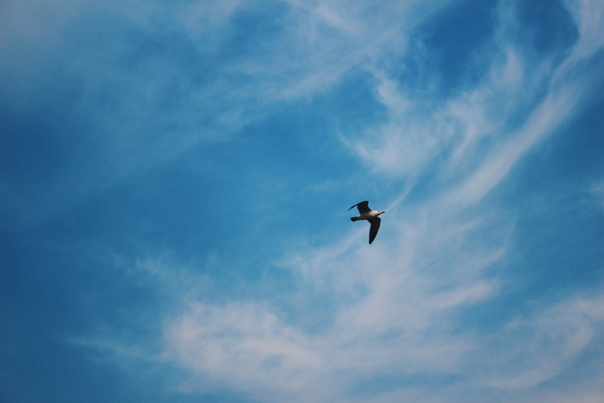 eve-liu-253749-unsplash.jpg