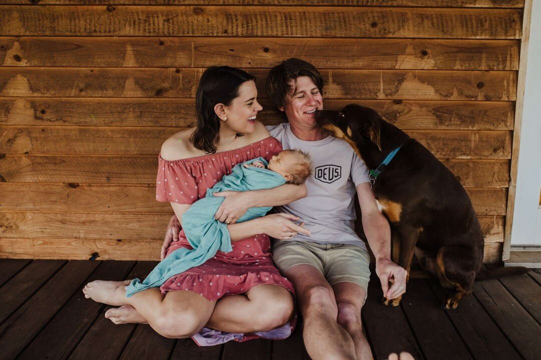 The land of social media has been quiet...way too quiet! Be prepared for an update on some beautiful sessions from the past year xo
Baby Sims to start....
.
.
.
.
#wheatbeltbaby #wheatbeltnewbornphotographer #holliesmithphotographyau #wheatbeltnewbor