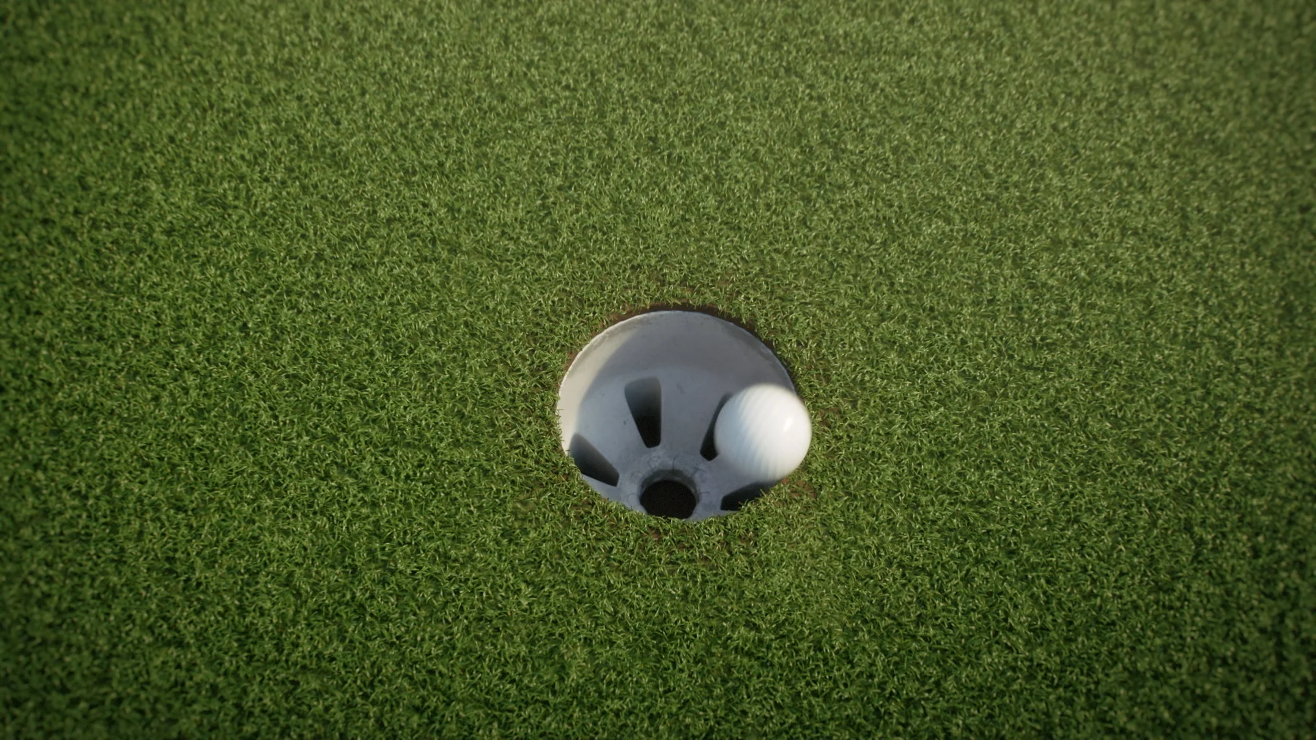 BirdieEyes_Logoanim_MASTER_v09.00_00_10_10.Still007.jpg