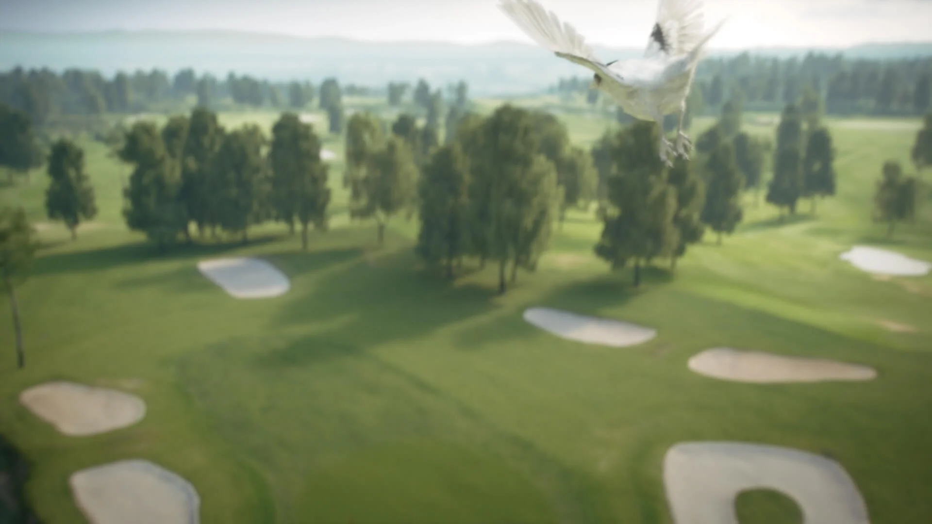 BirdieEyes_Logoanim_MASTER_v09.00_00_06_16.Still005.jpg