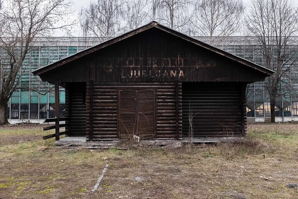 04.jpg