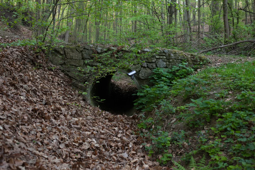 _MG_1044.jpg