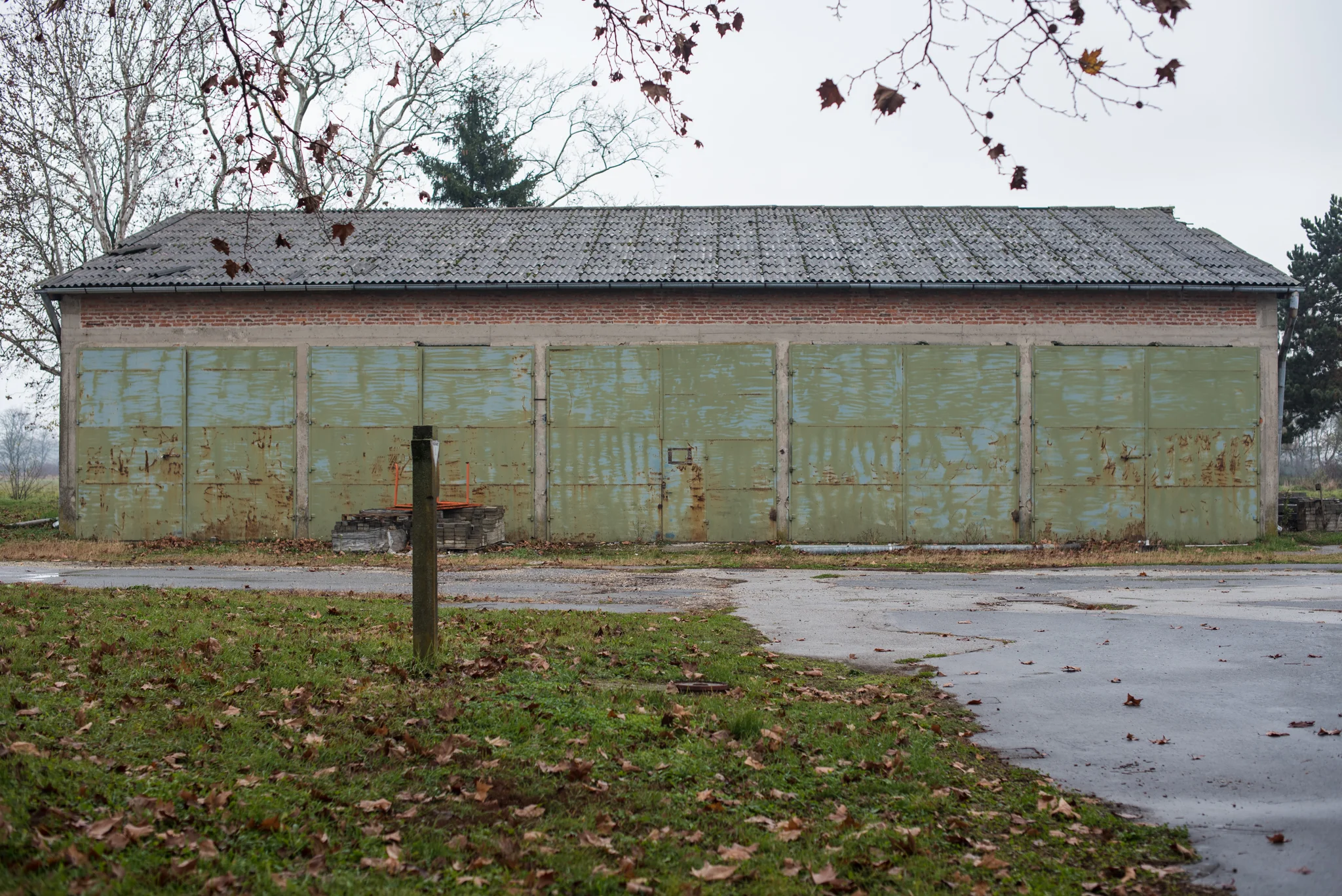750_8846.jpg