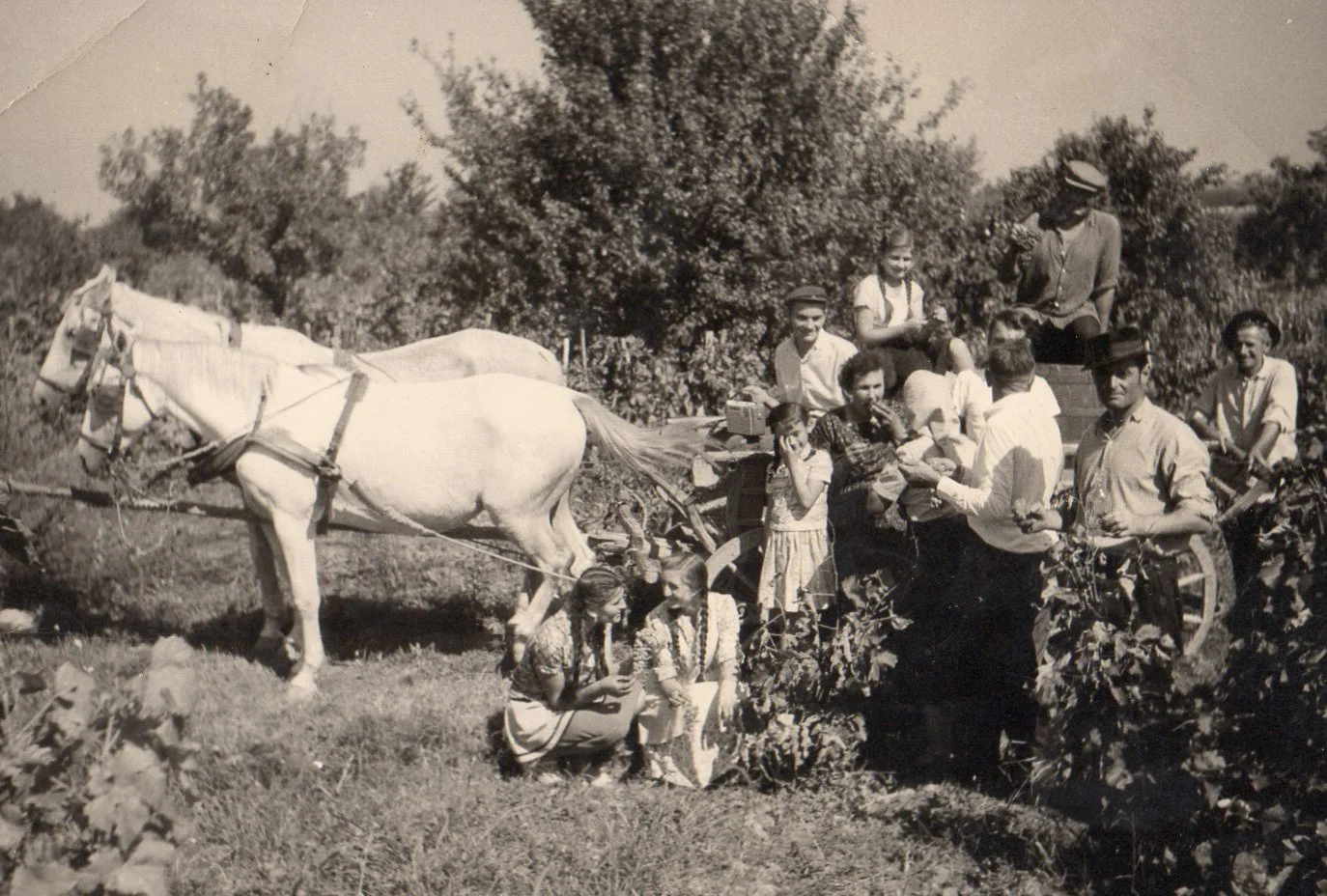 2. DRenje 11.JPG
