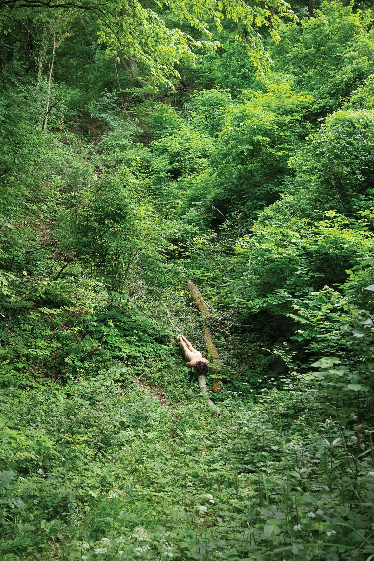 IVAN DUKEZ-1.jpg