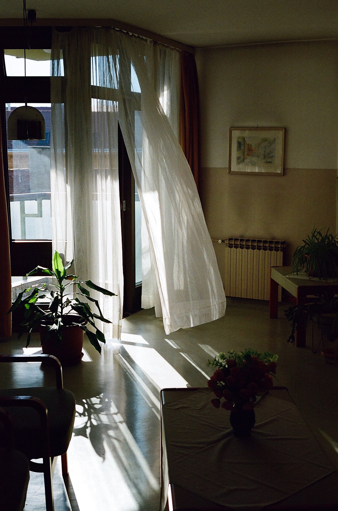 LUCIJA DRAČA-4.jpg