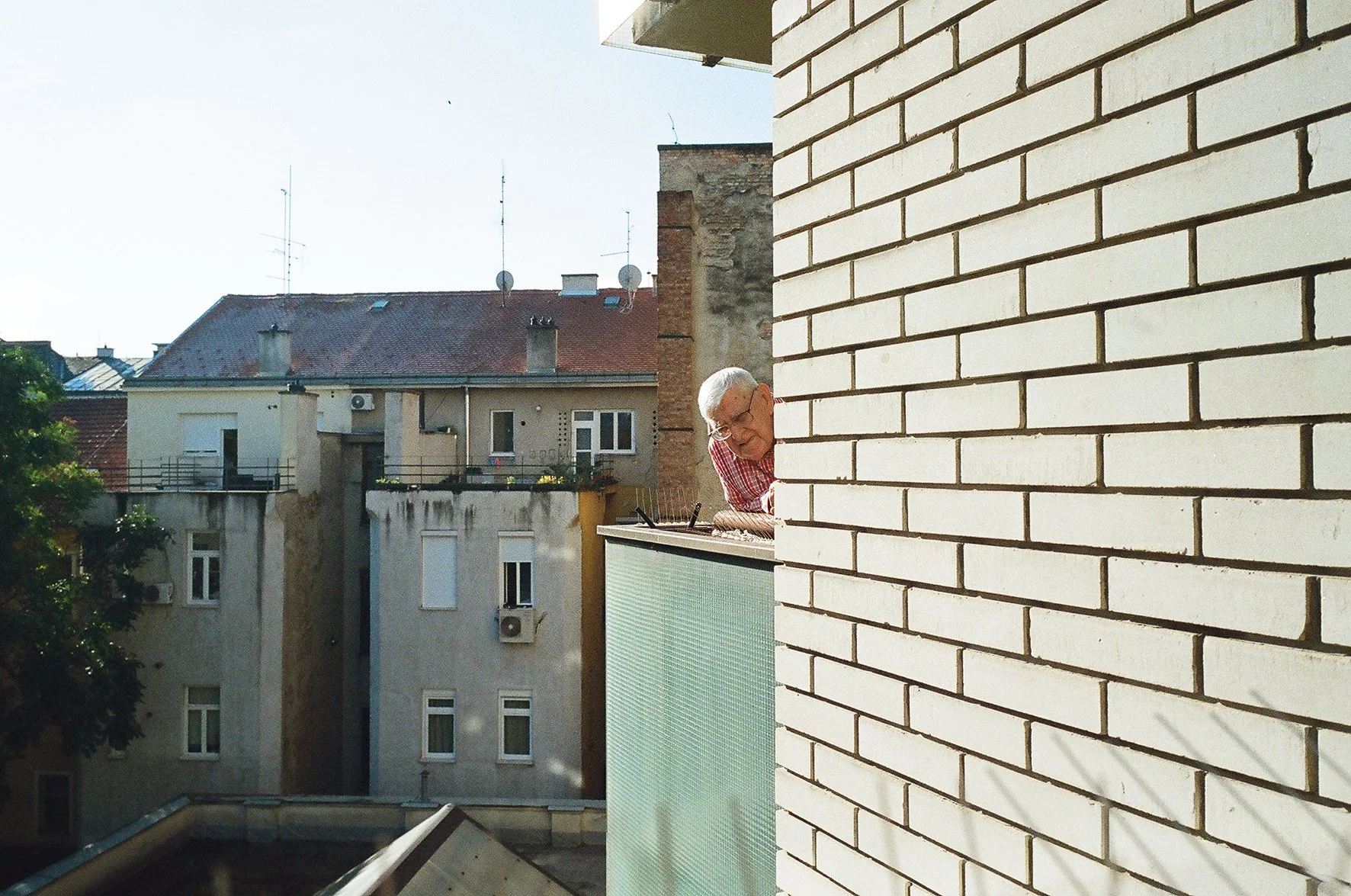 LUCIJA DRAČA-9.jpg