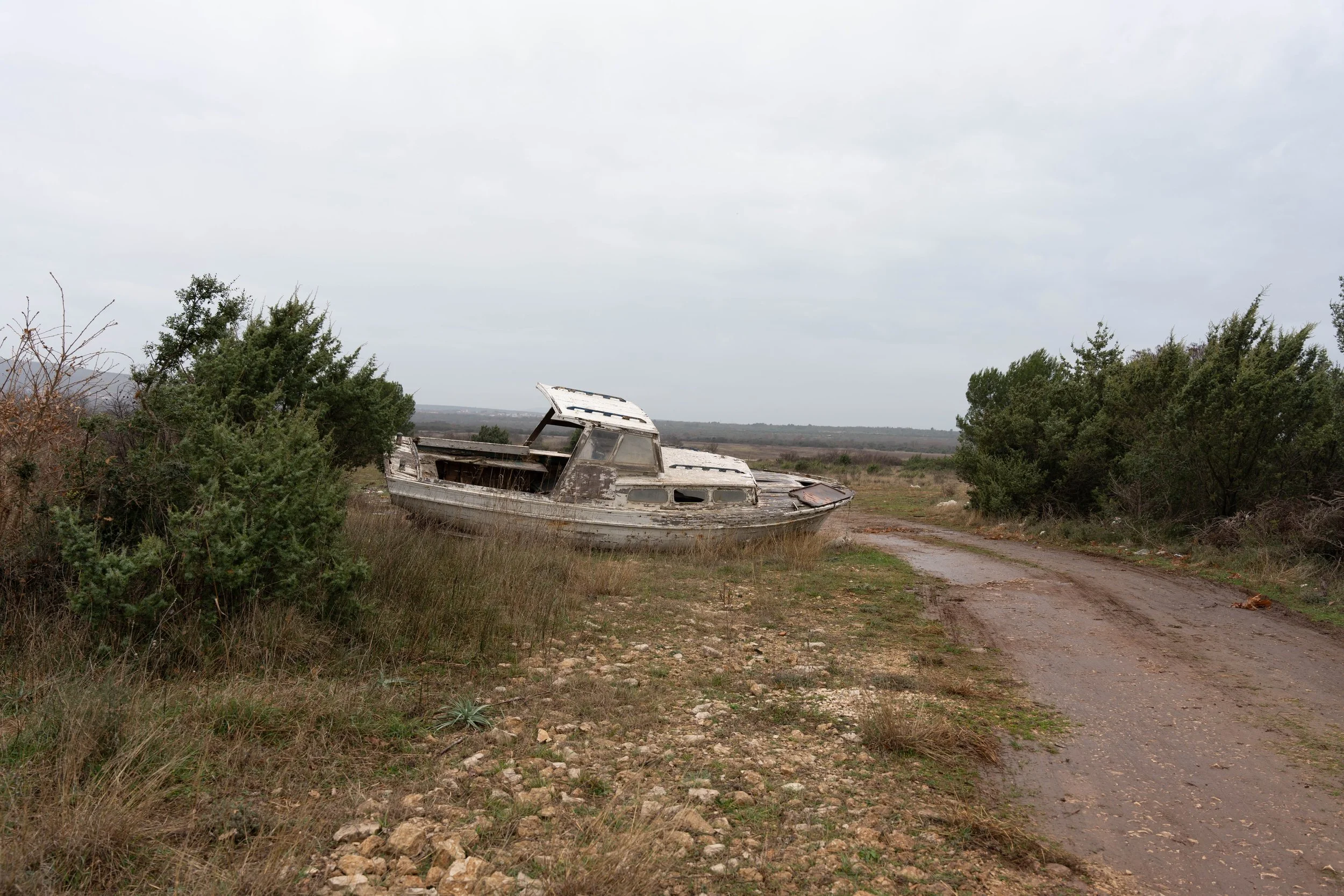 DSC06079.jpg