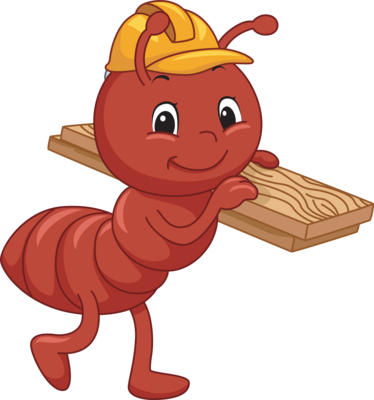 working ant.png