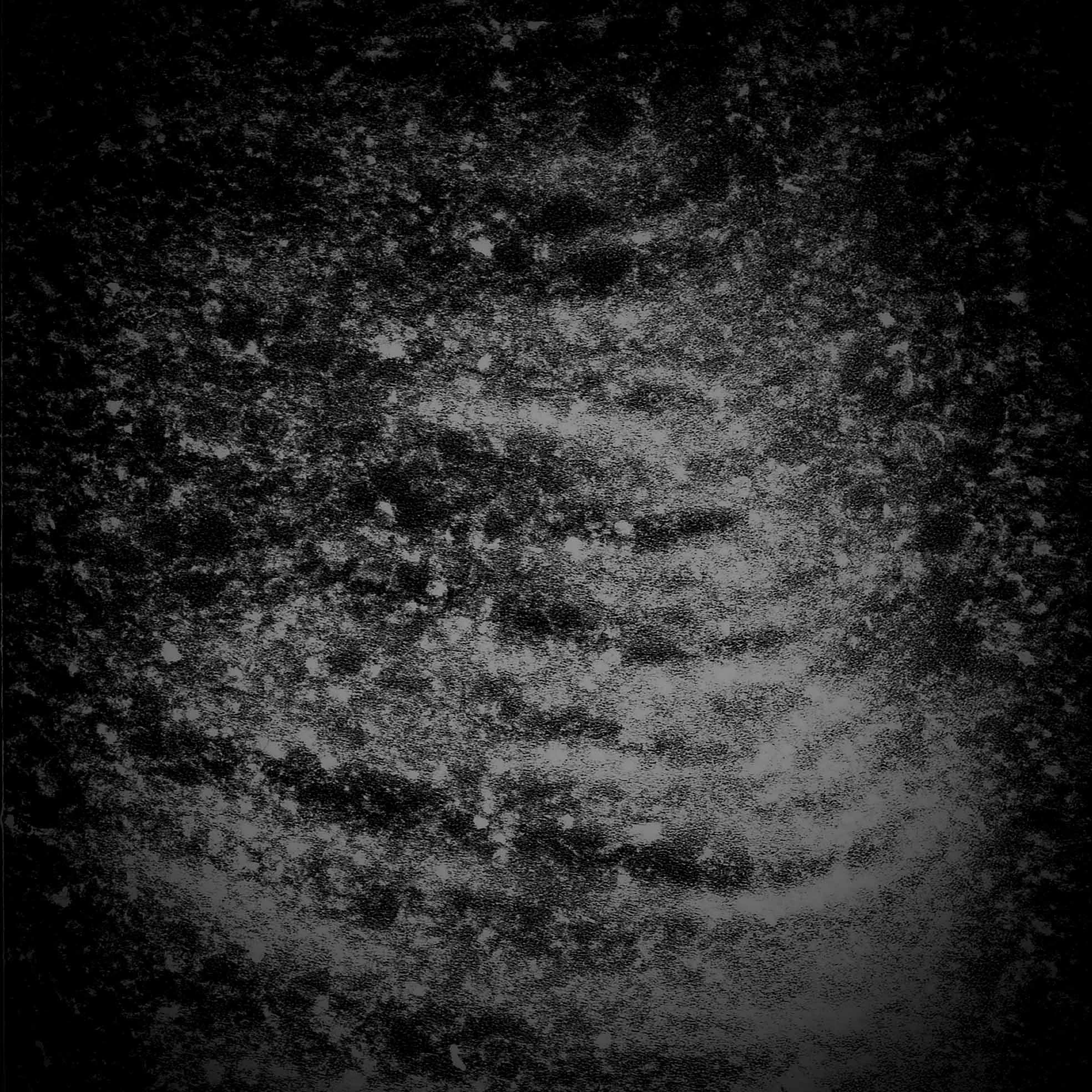 nature003bcc.jpg