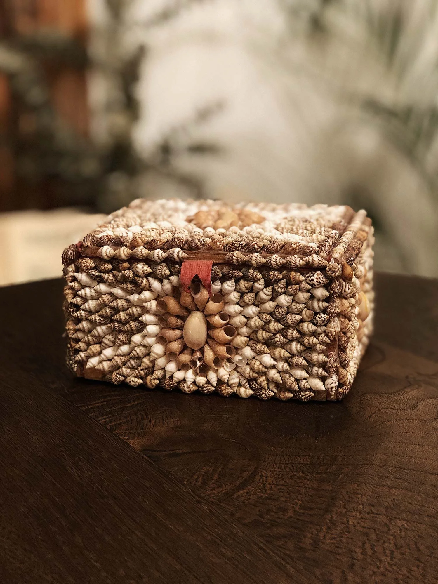 Shell Jewelry Trinket Box