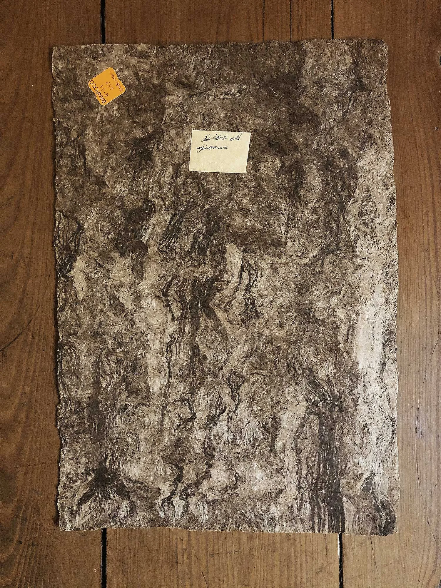 mexican-bark-2.jpg
