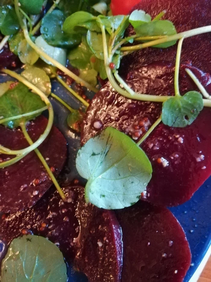 beetroot.jpg