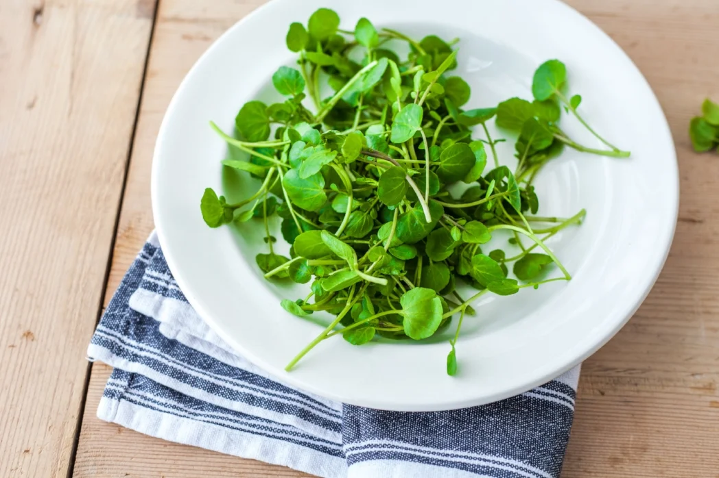 Watercress, chicory, blue cheese and bacon salad