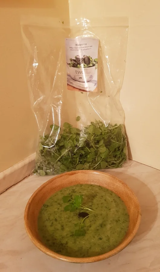 healey soup.jpg