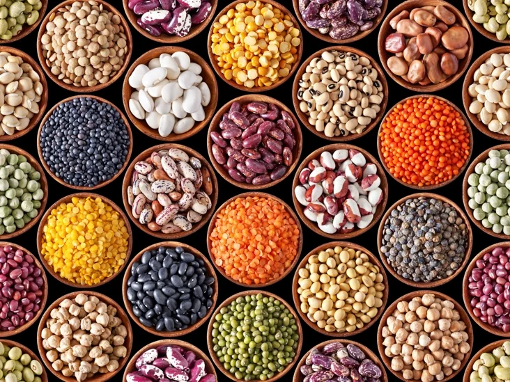AN147-Legumes-In-Bowls-732x549-thumb.jpg
