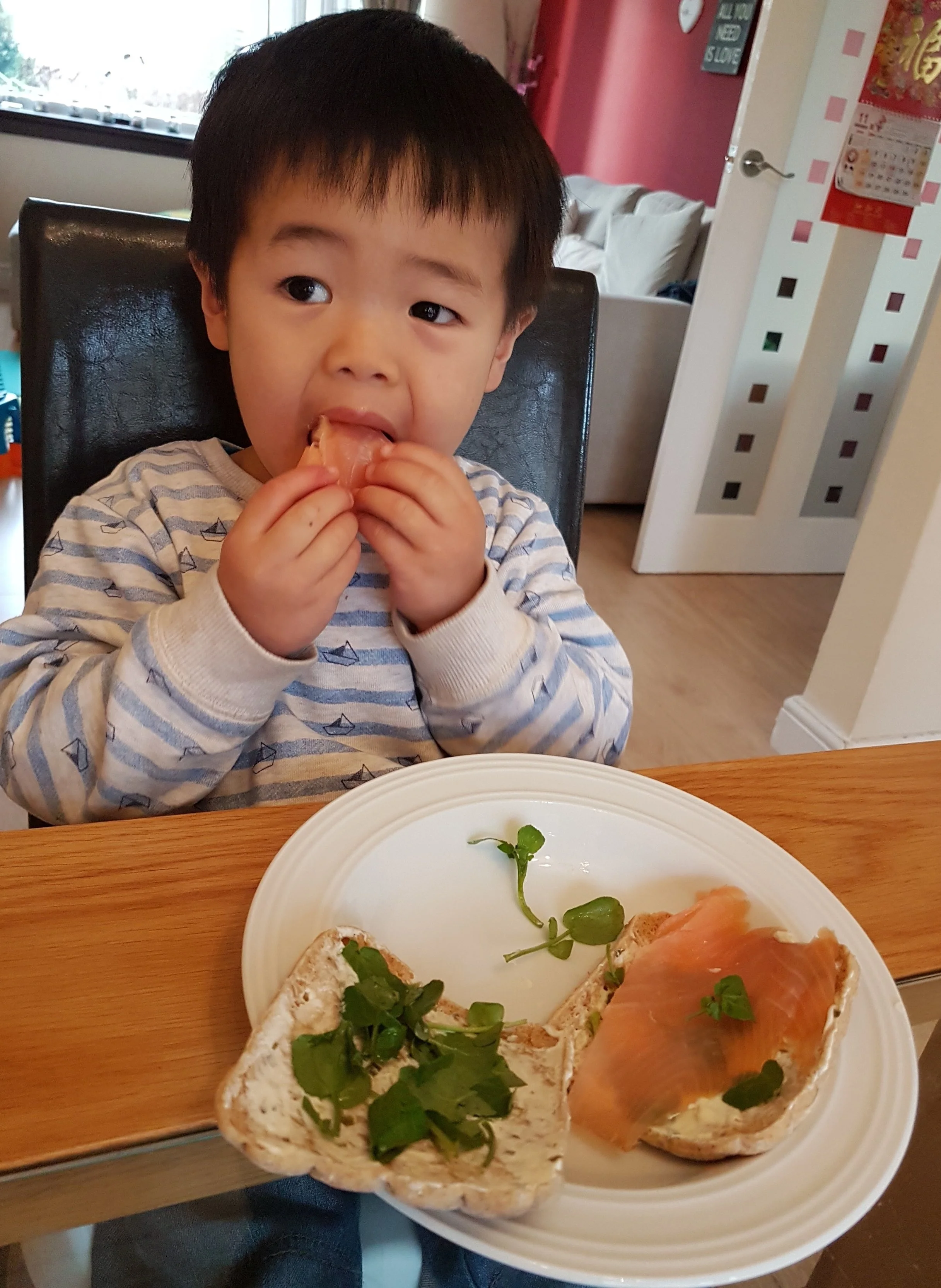 salmon+a+no+go.jpg
