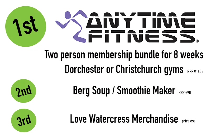 AnytimeFitnessLogo_2.jpg