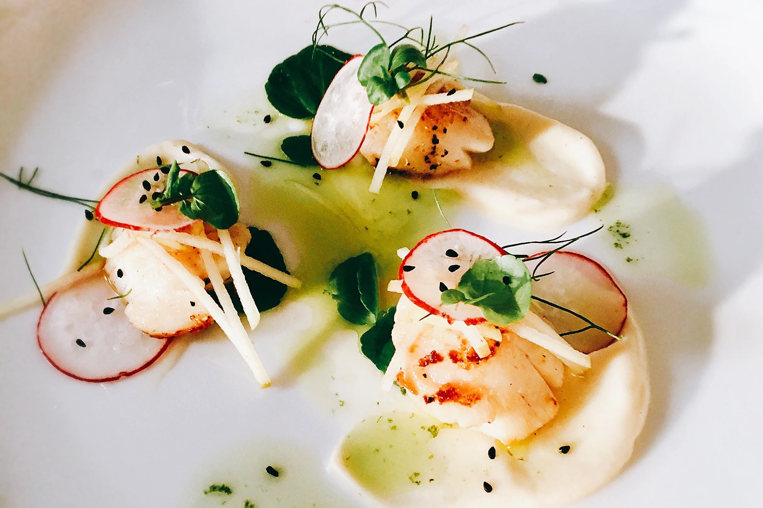 Steve’s beautiful scallop dish