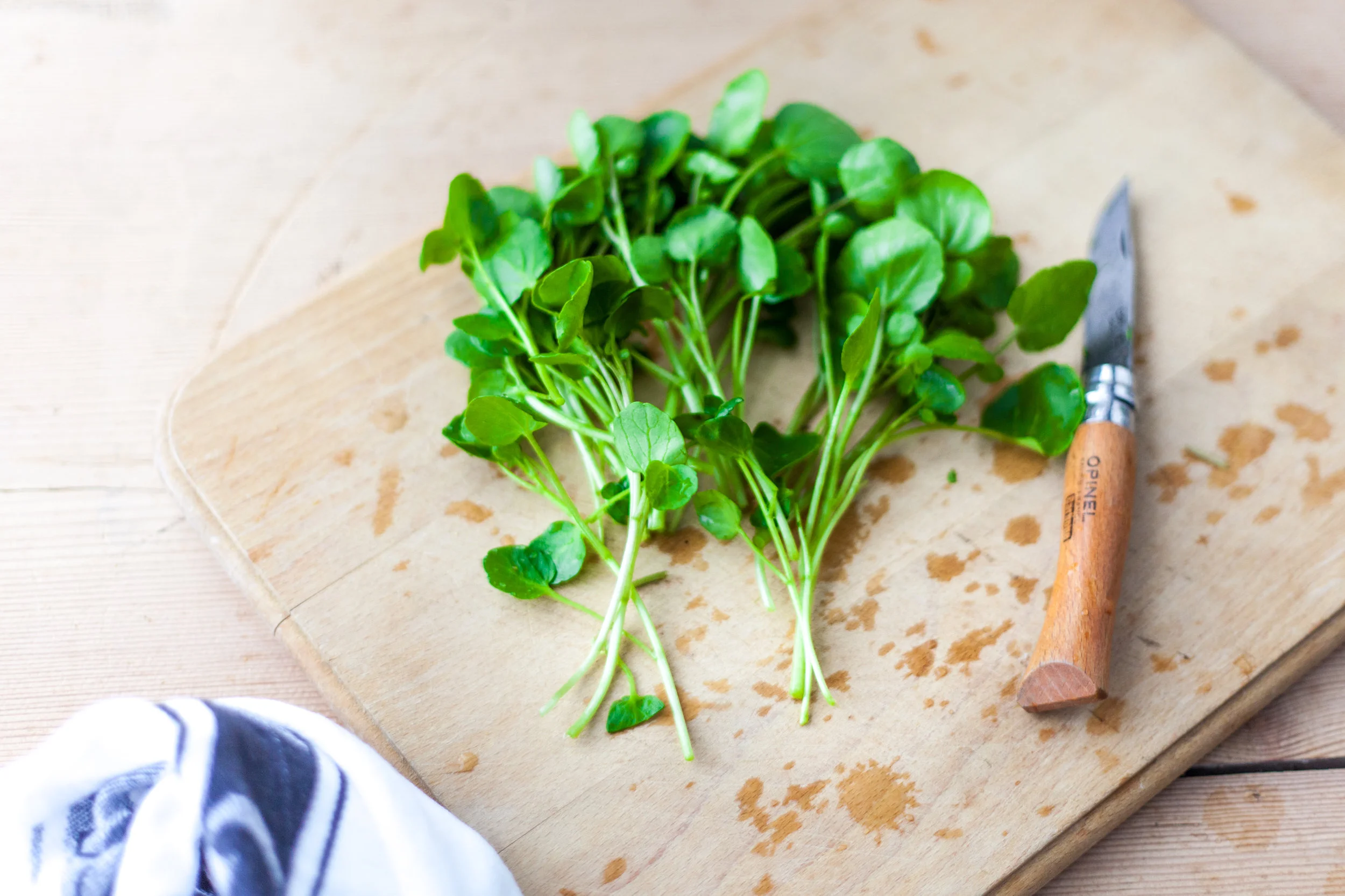 Fresh watercress reading for eating