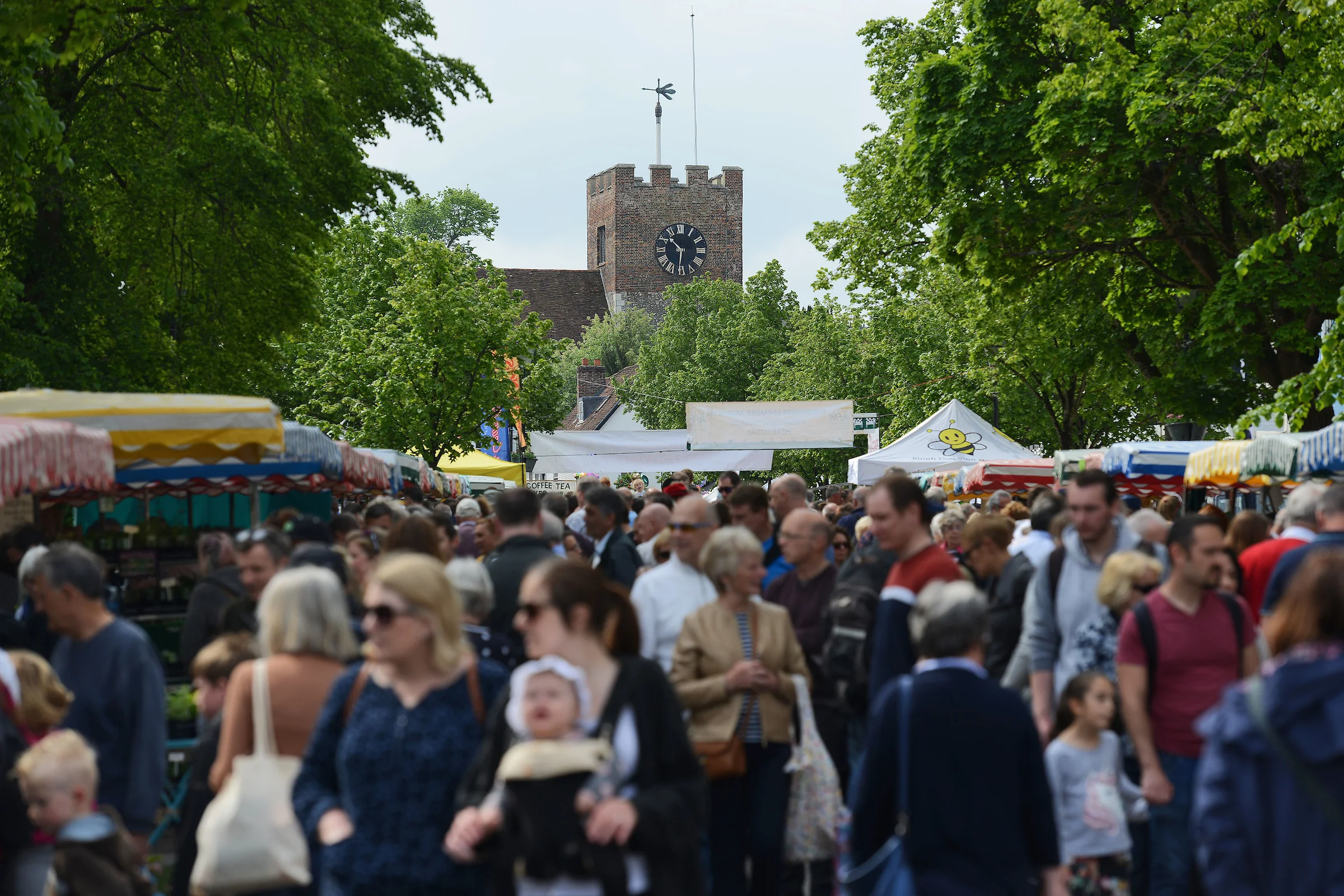 Alresford_Watercress_Festival_161.jpg