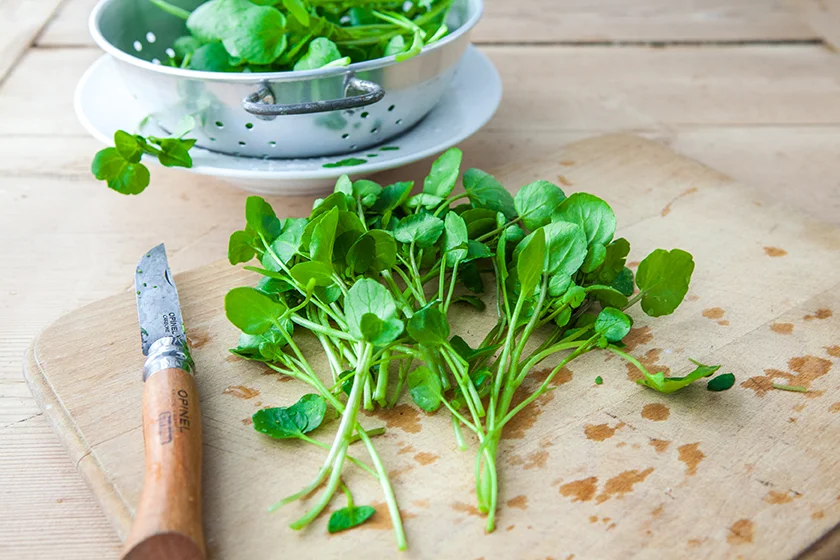 Tell us what you think