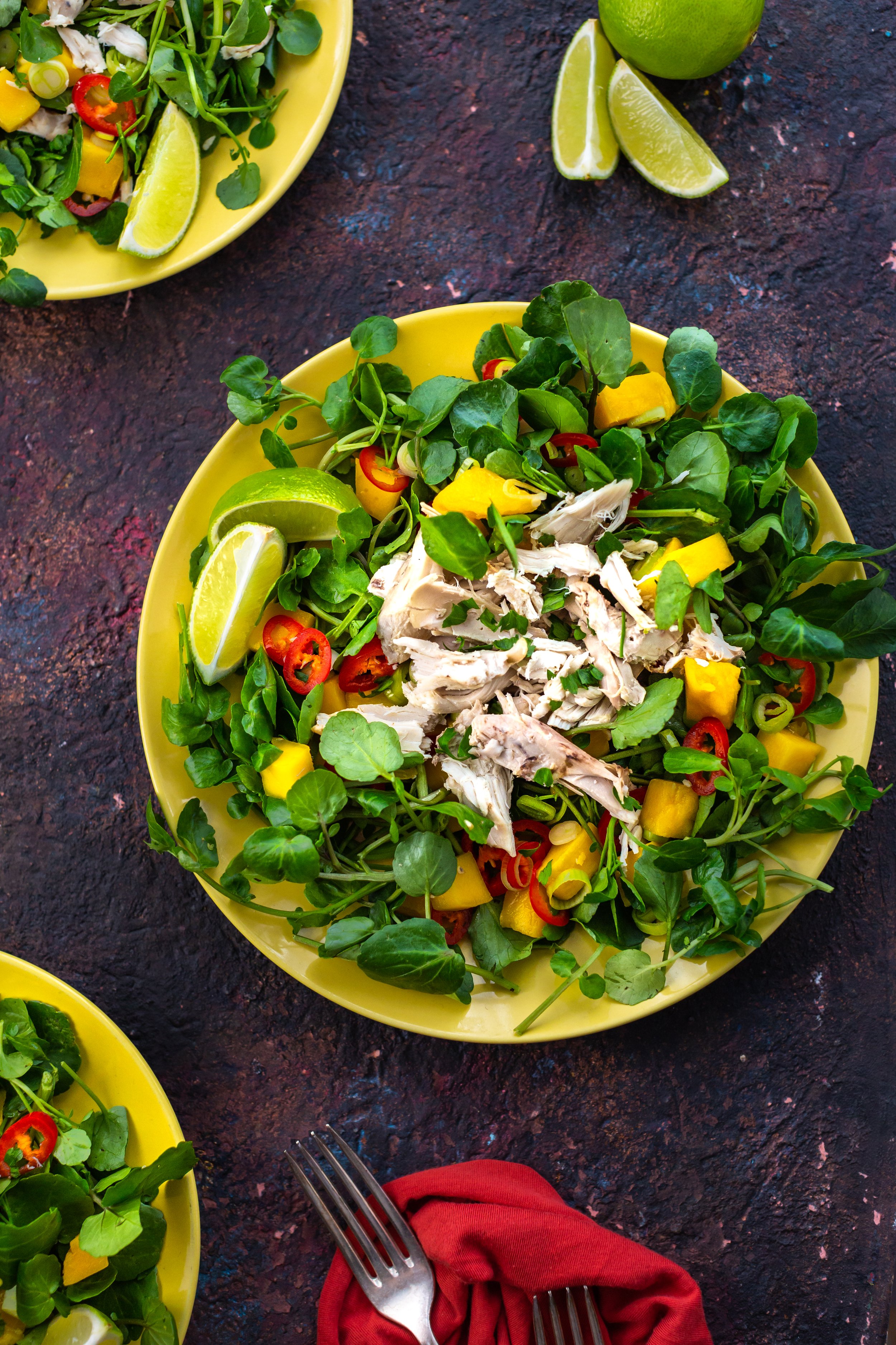 chicken-mango-watercress-salad-7198.jpg