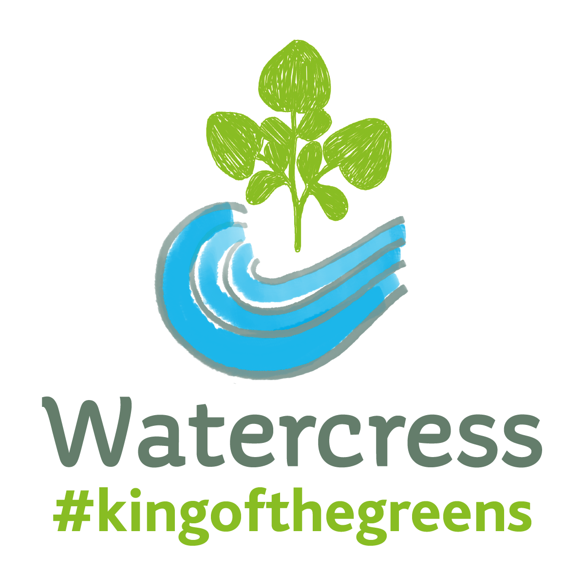 Watercress | Health, Recipes &amp; More