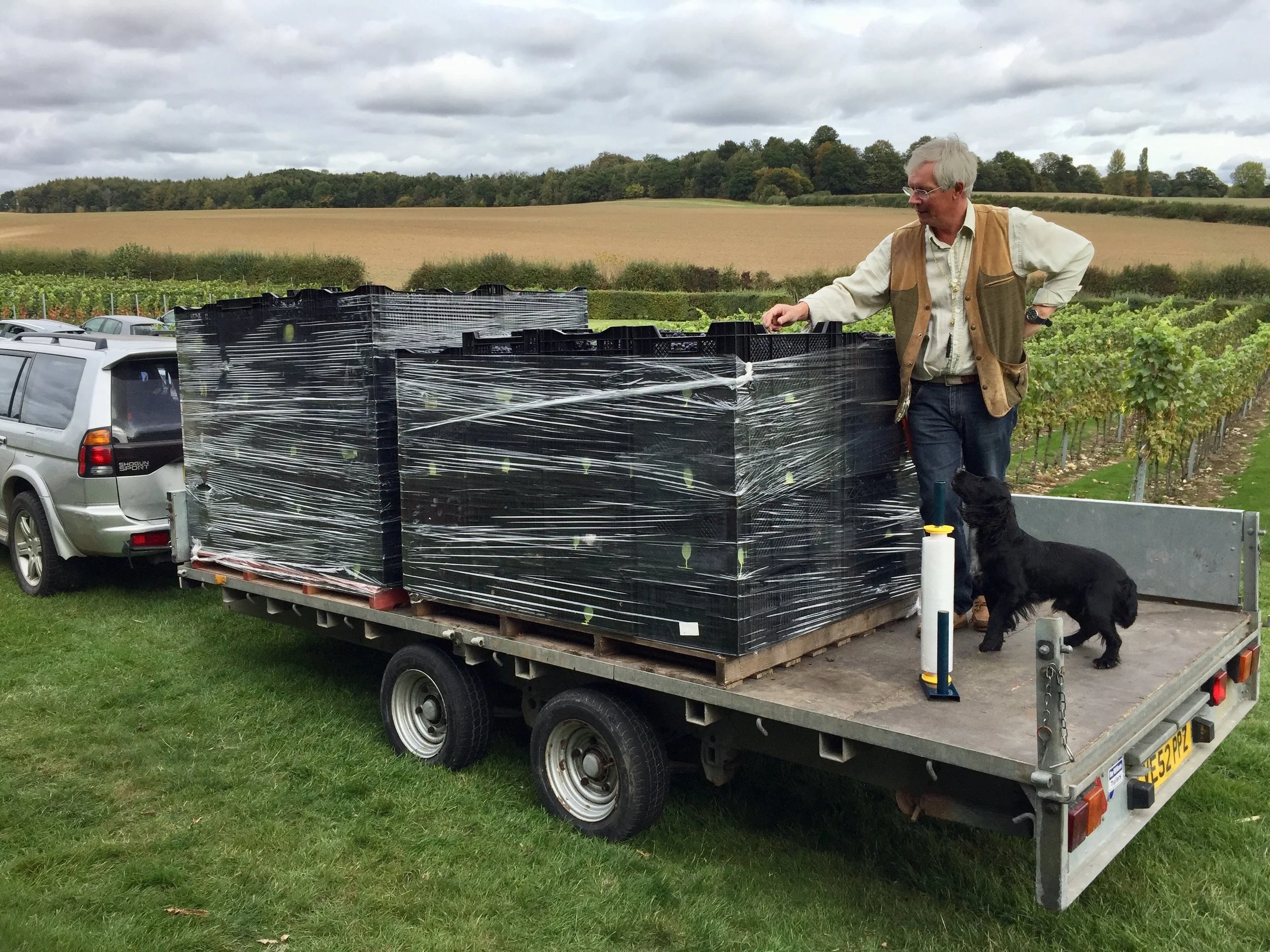Photo 4 -Ludo await instructions on loading more crates.jpg