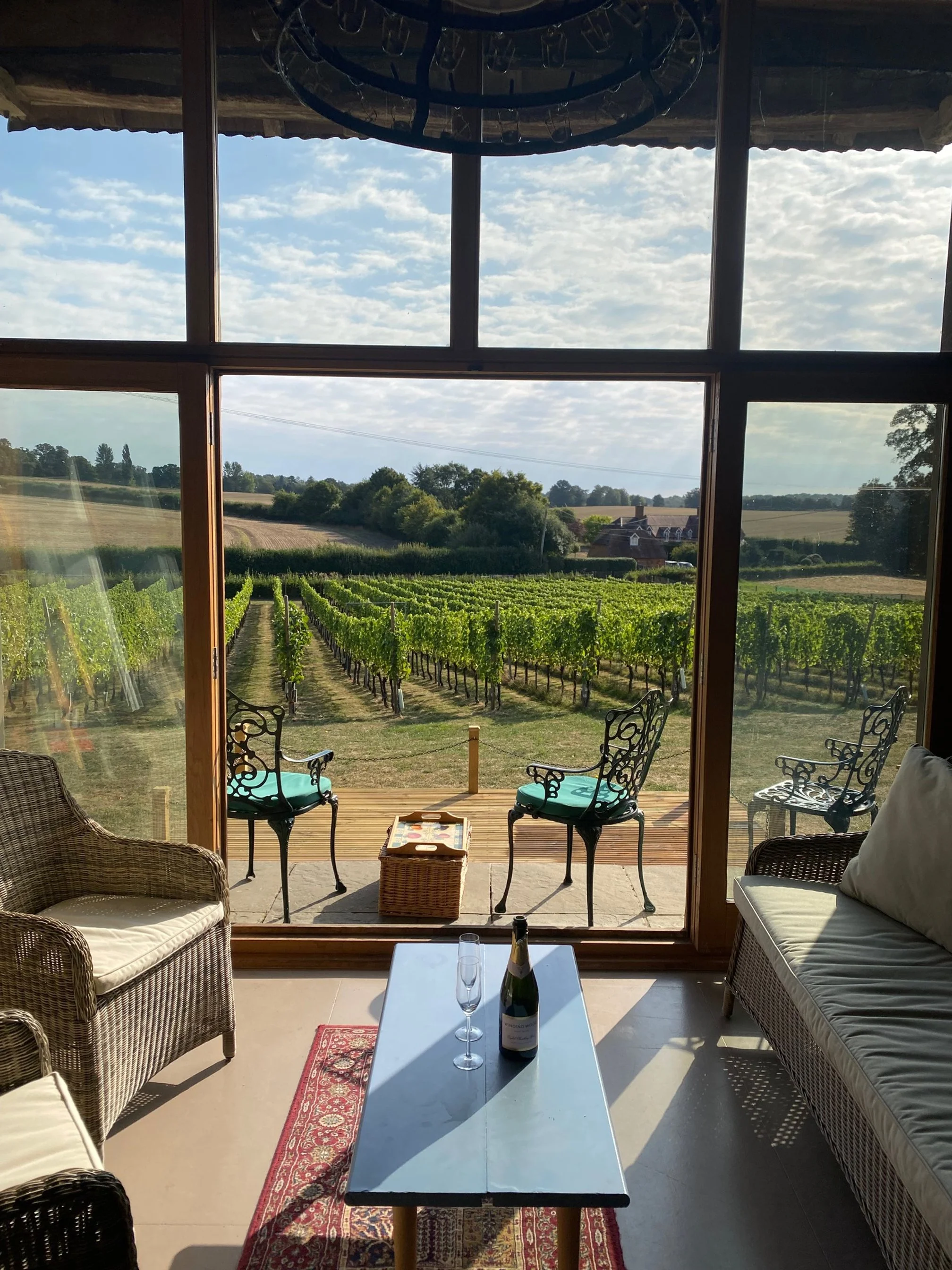 private tours p2deck with wine.jpg