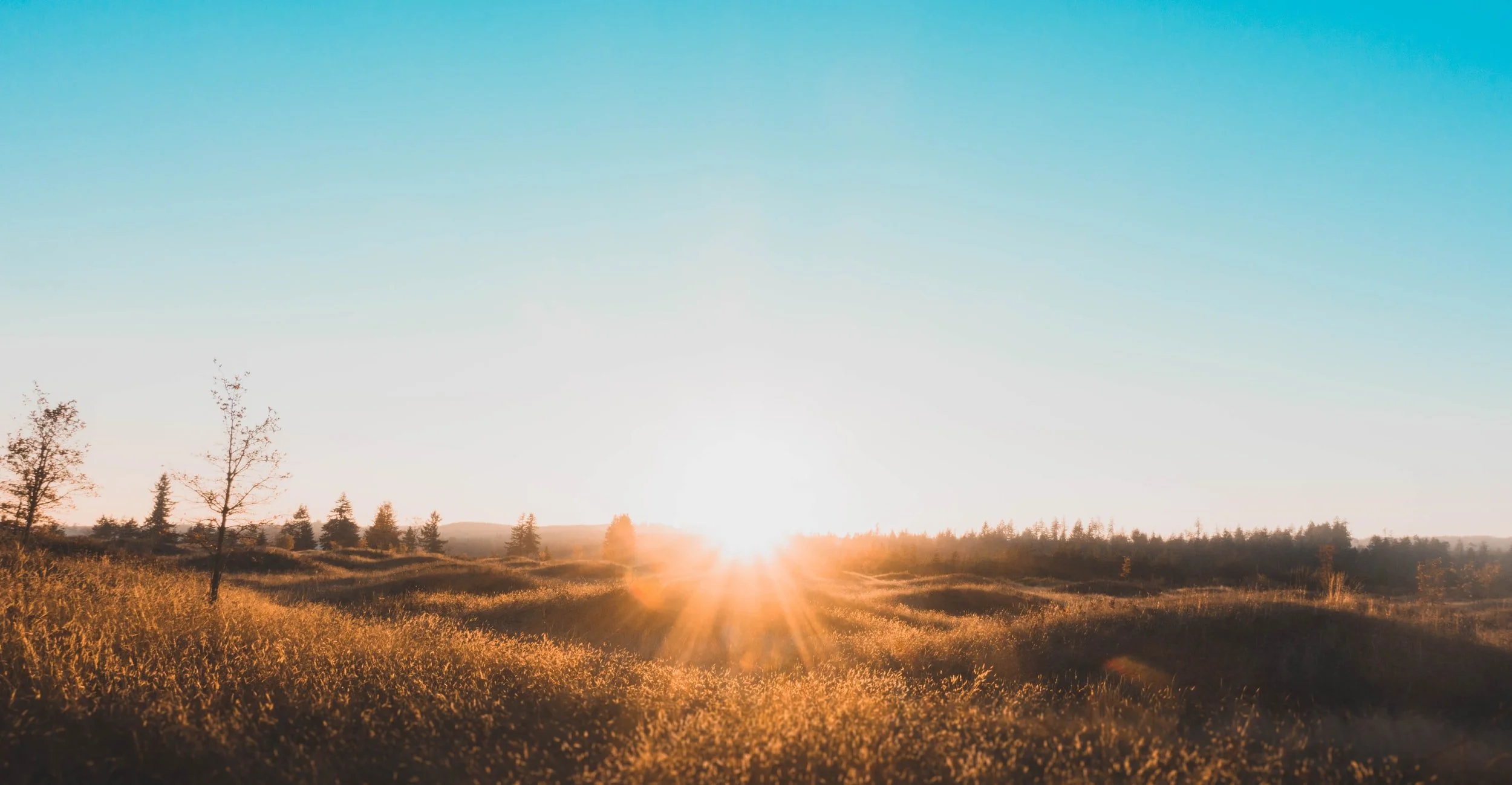 Living for Christ and the Resurrection