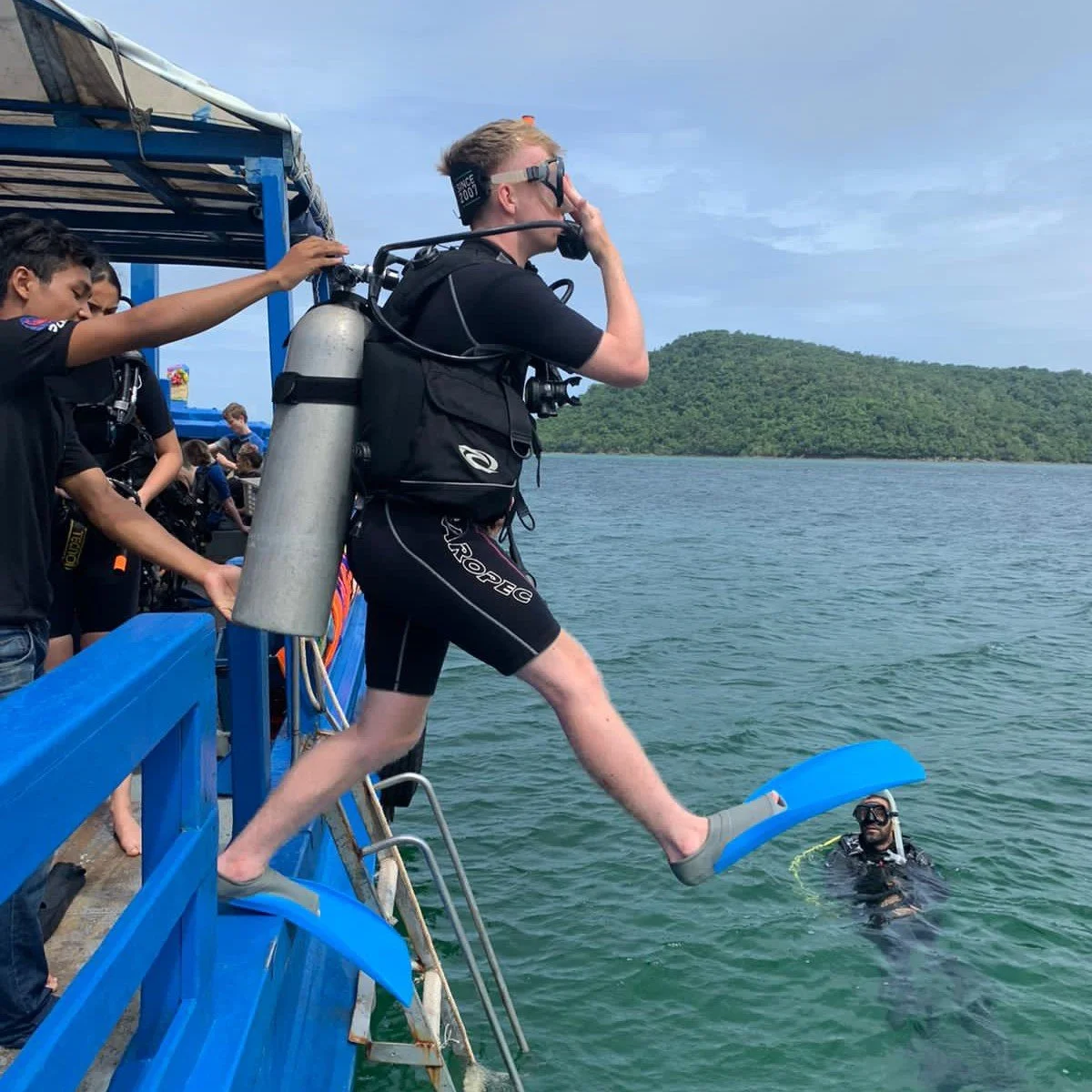 diving web.jpeg