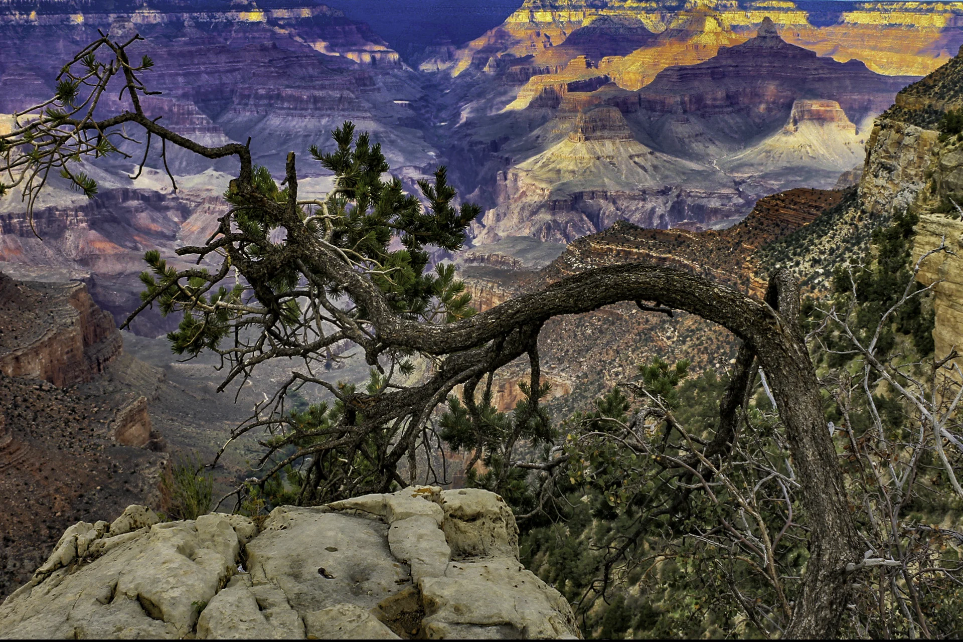 2012-09-08 00.31.23 copy.jpg