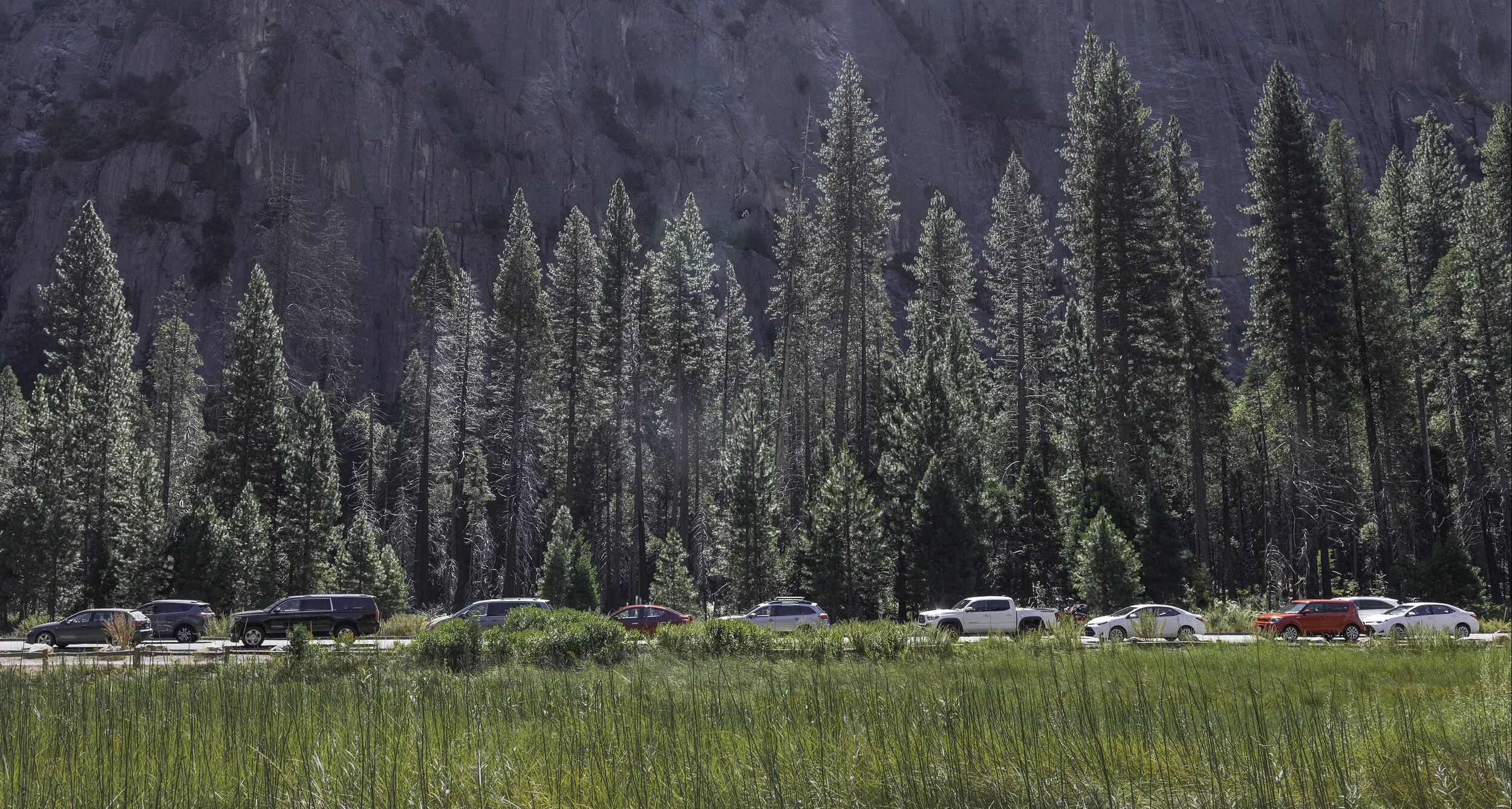 Our visit to the park was unfortunately on Labor Day. The park was packed with guests, and bumber to bumber traffic. Driving was impossible and the shuttle busses where full, so my only option was to hike the valley trails and photograph from that p…