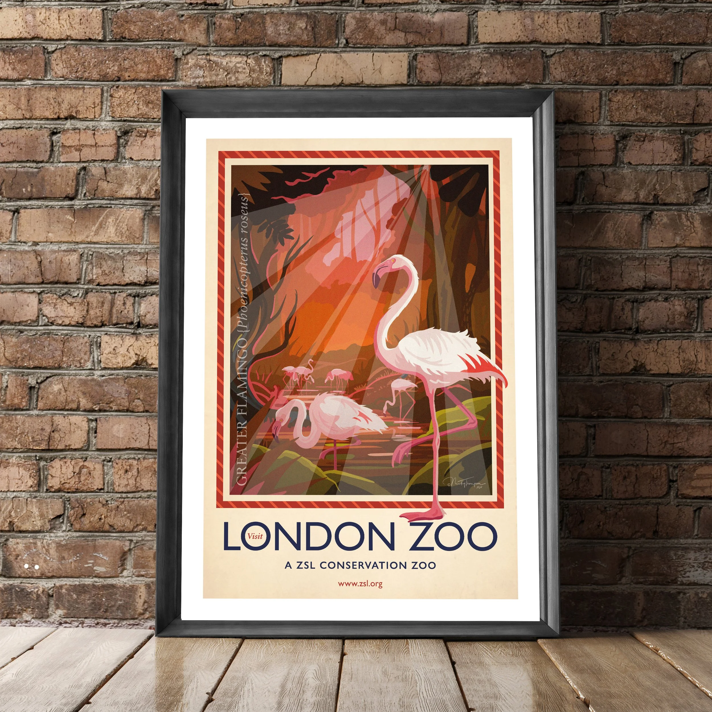Greater Flamingo by Nicky Thompson. Part of the London Zoo Collection.
