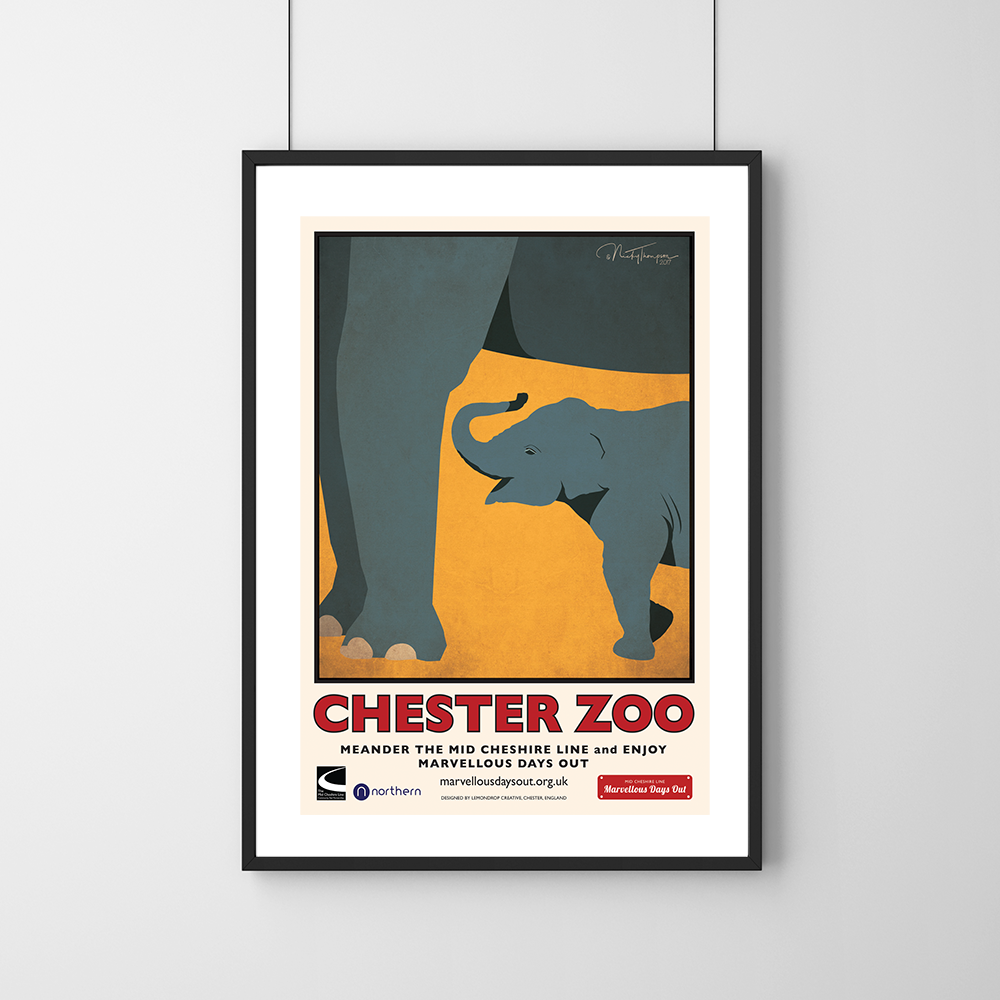 Chester Zoo - Elephants