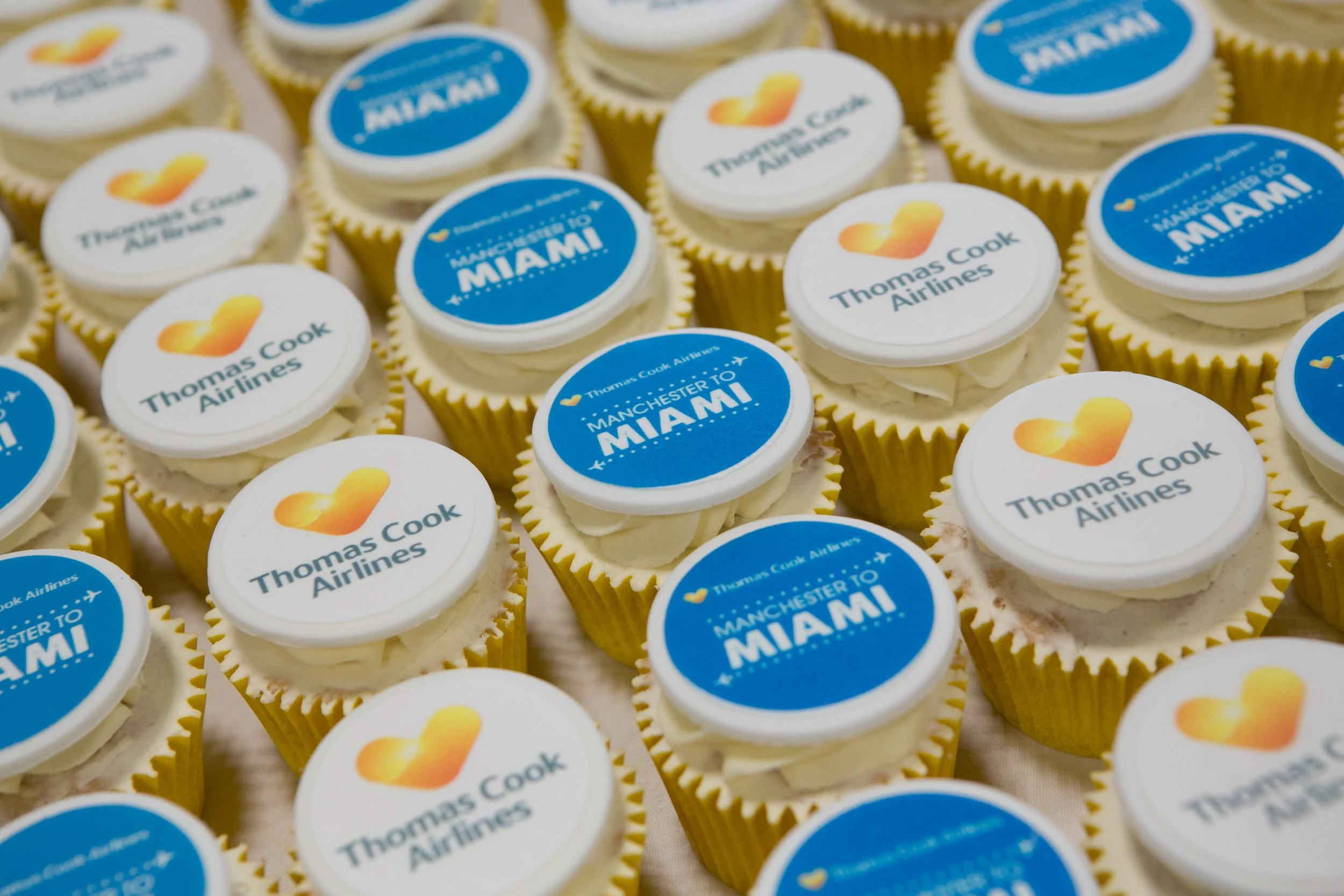 Pink Aubergine Corporate Logo Cupcakes