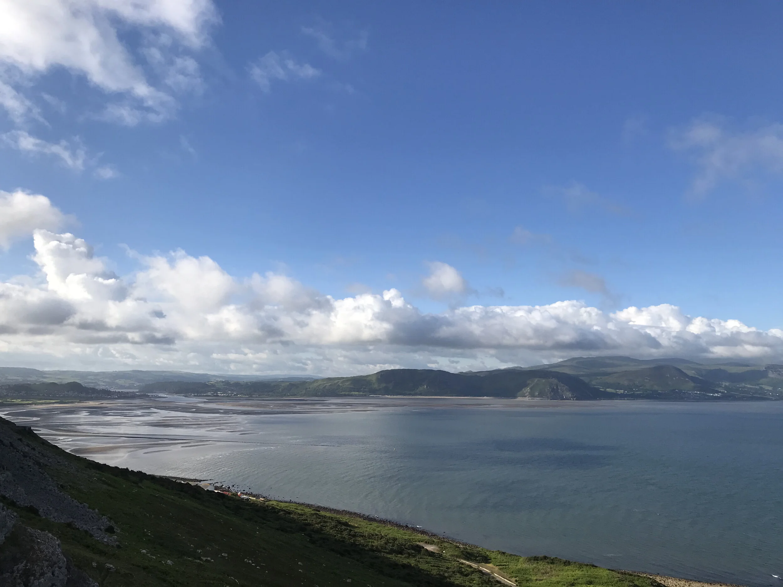 WICS Summer Scientific Meeting 2021