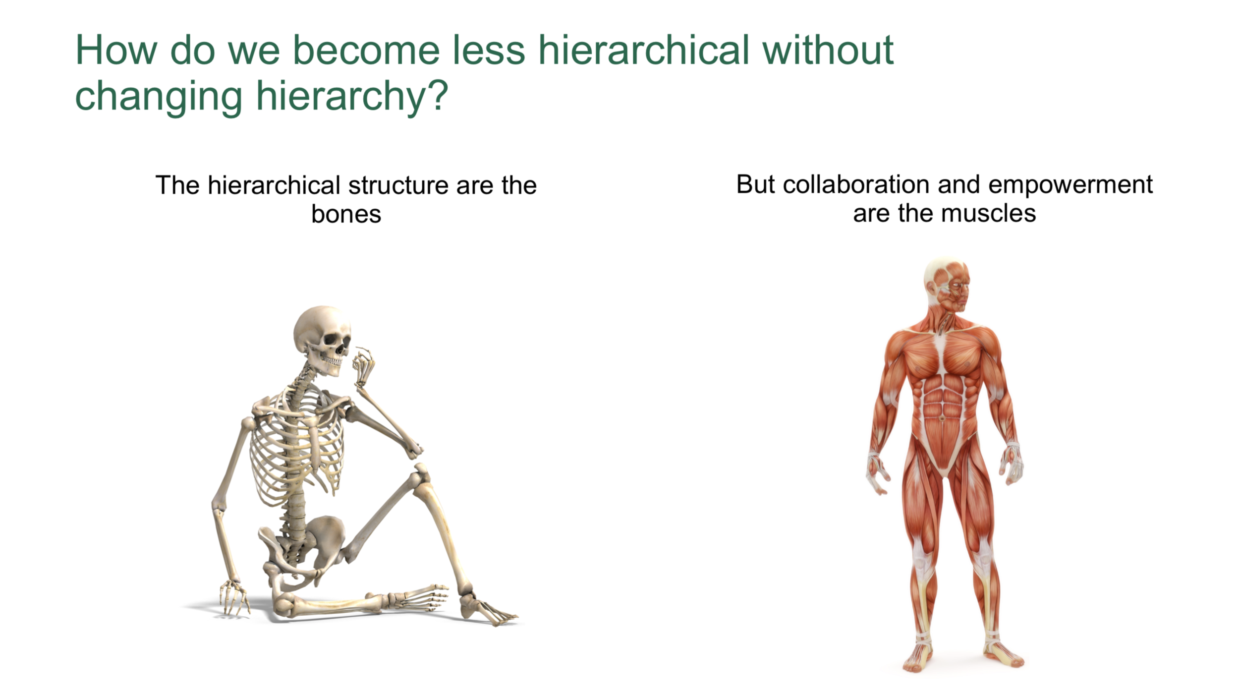How to become less-hierarchical within a hierarchical structure