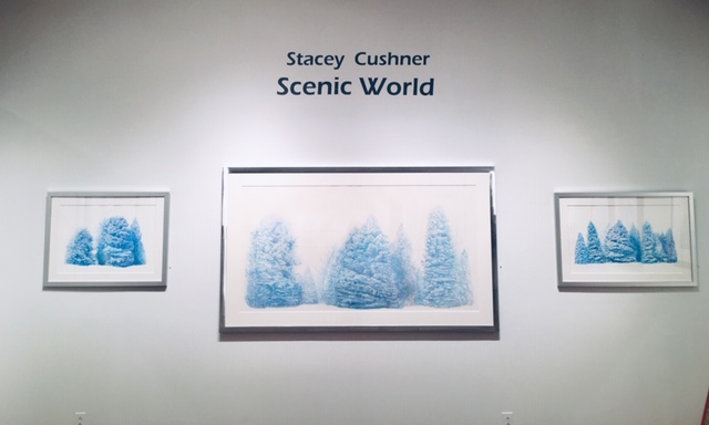 Pleiades Gallery Chelsea, NYC 2018 Show