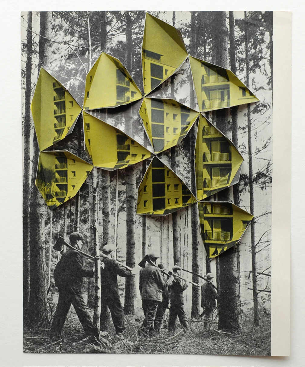 Collage by Abigail Reynolds, "Woodsmen 2008"