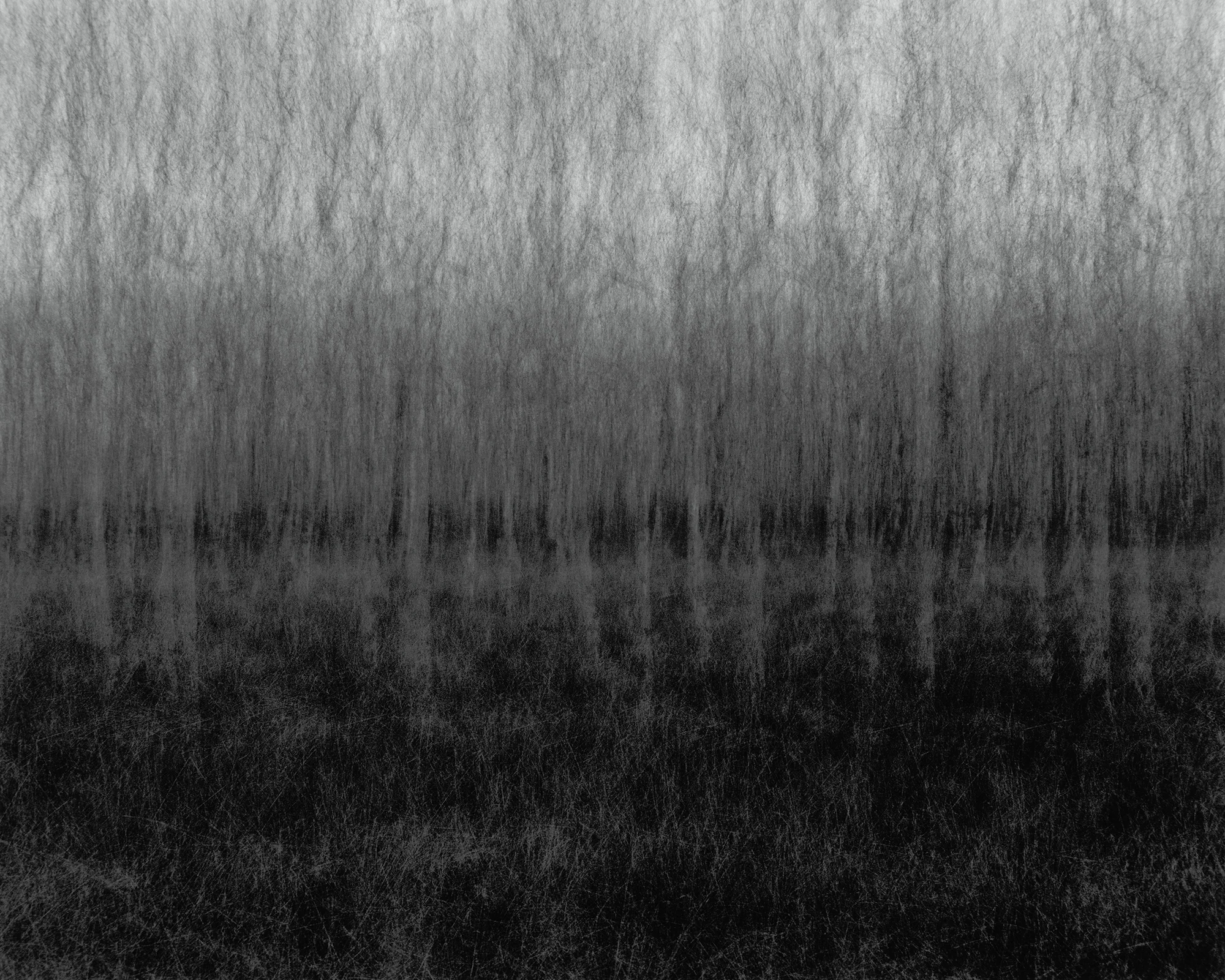 Photograph: Jonty Sale, 'BLACKDOG' (2014)