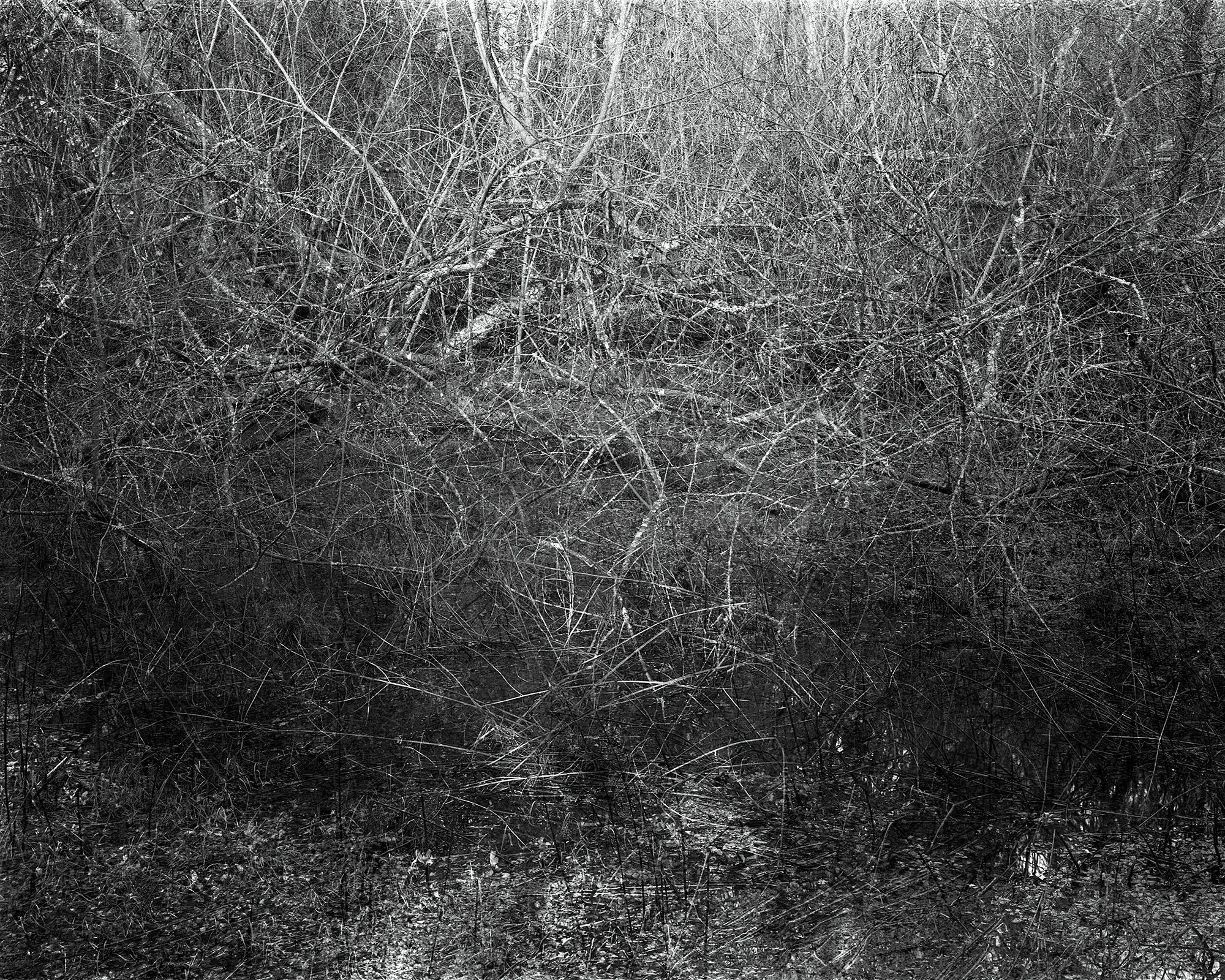 Photograph: Jonty Sale, 'SQUALLSMIRE #6'