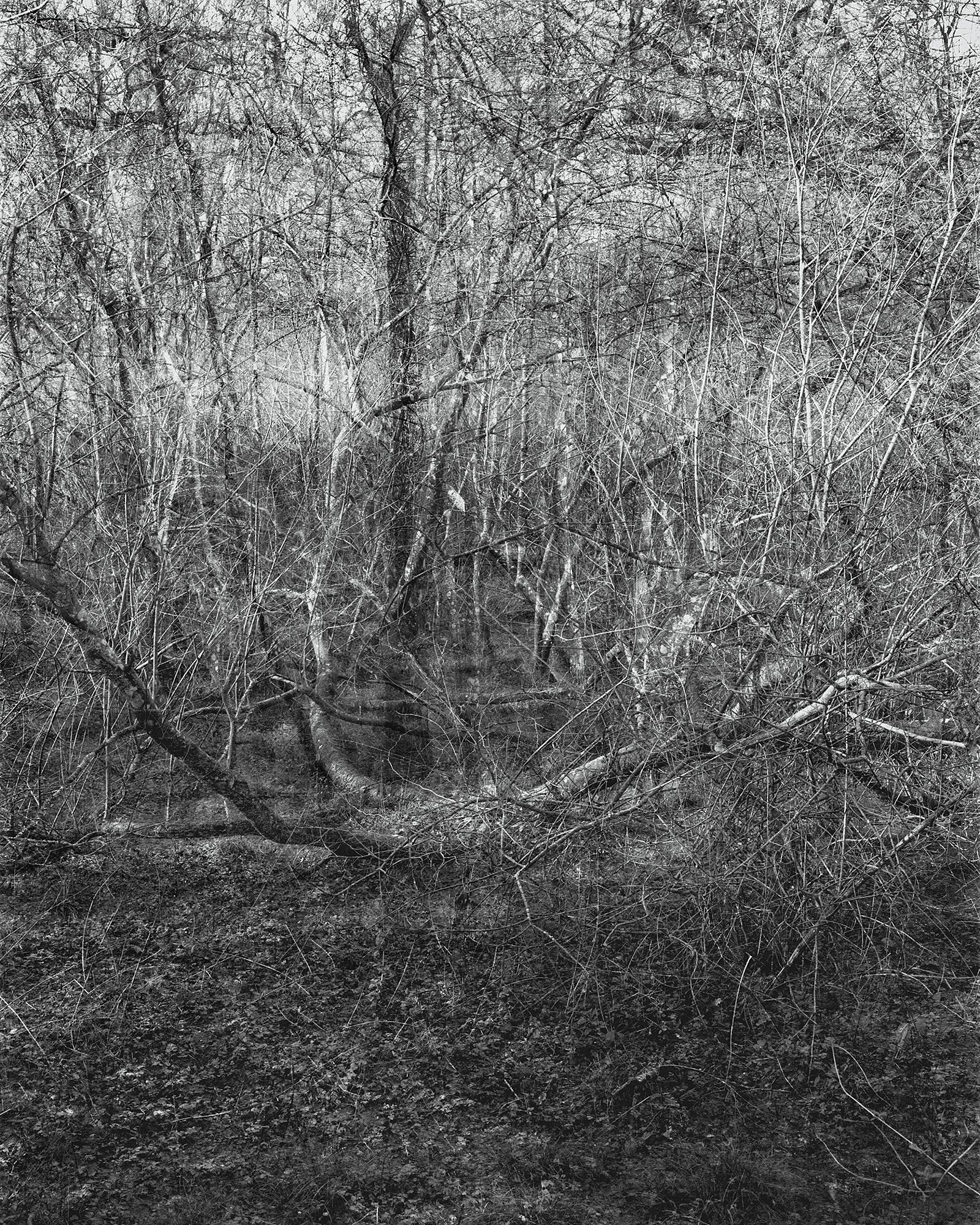 Photograph: Jonty Sale, 'SQUALLSMIRE #9'