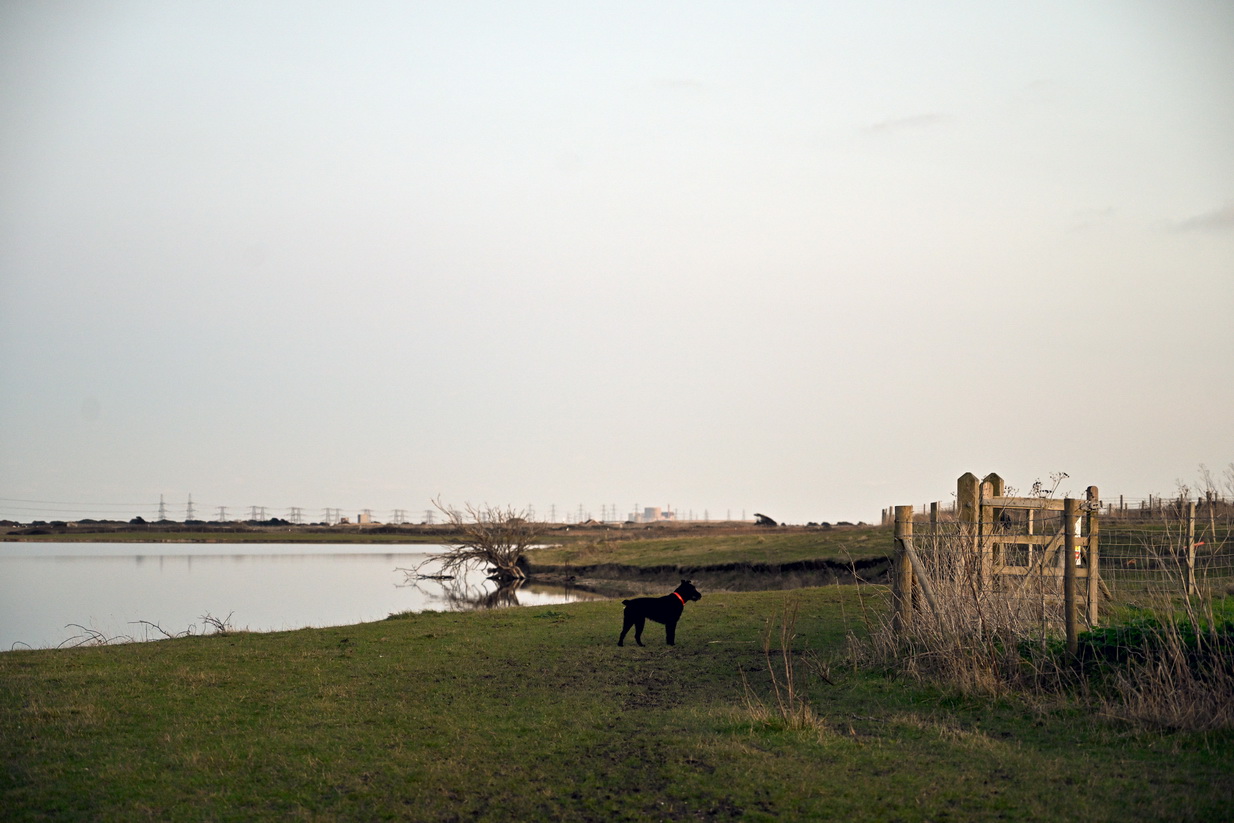 Photo by Roderick, Merchant & Mills. Rye, East Sussex, UK.