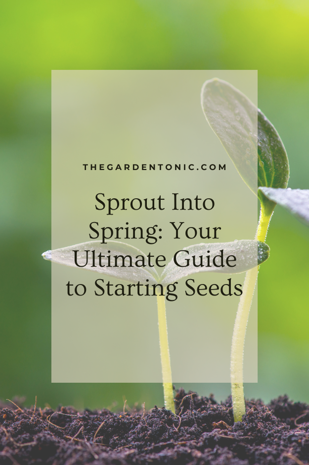 Sprout Into Spring Your Ultimate Guide to Starting Seeds — Garden Tonic